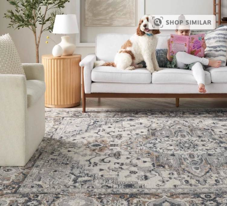 Nourison and Home Artic Area Rug   Rug Size: 7 ft. 10 in. x 9 ft. 10 in