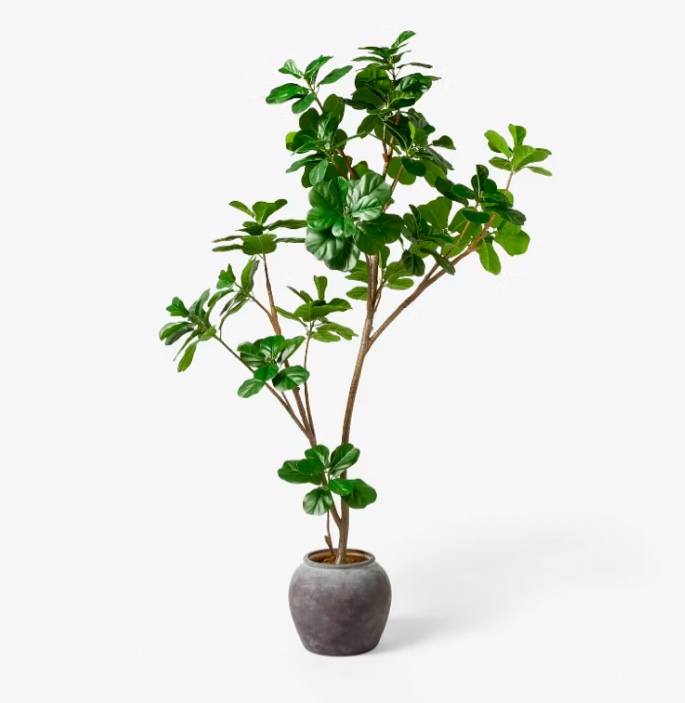 6 ft Artificial Leaf Fig Tree Dark Green - Threshold™ designed with Studio McGee