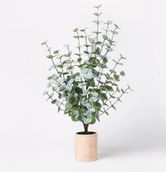 Large Artificial Eucalyptus Plant in Pot - Threshold™ designed with Studio McGee