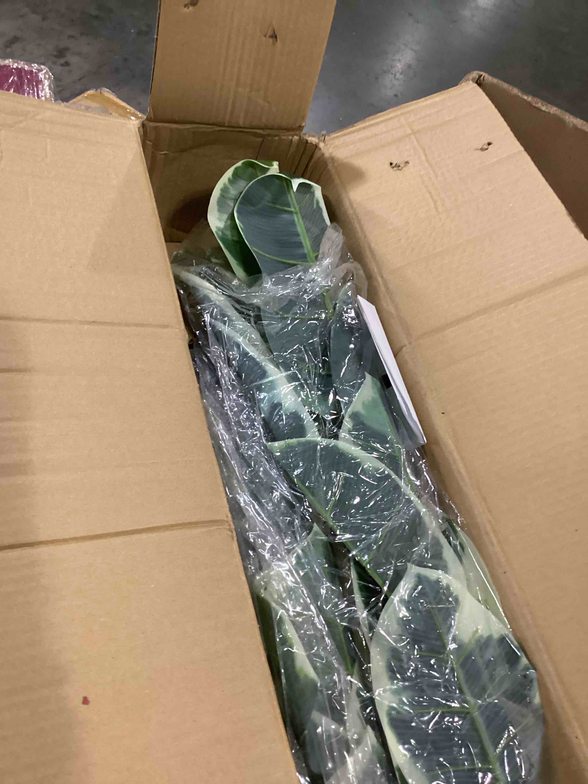 https://s3.amazonaws.com/lotting-images-prod/bidfta/RED6824278_1729876074819.jpeg