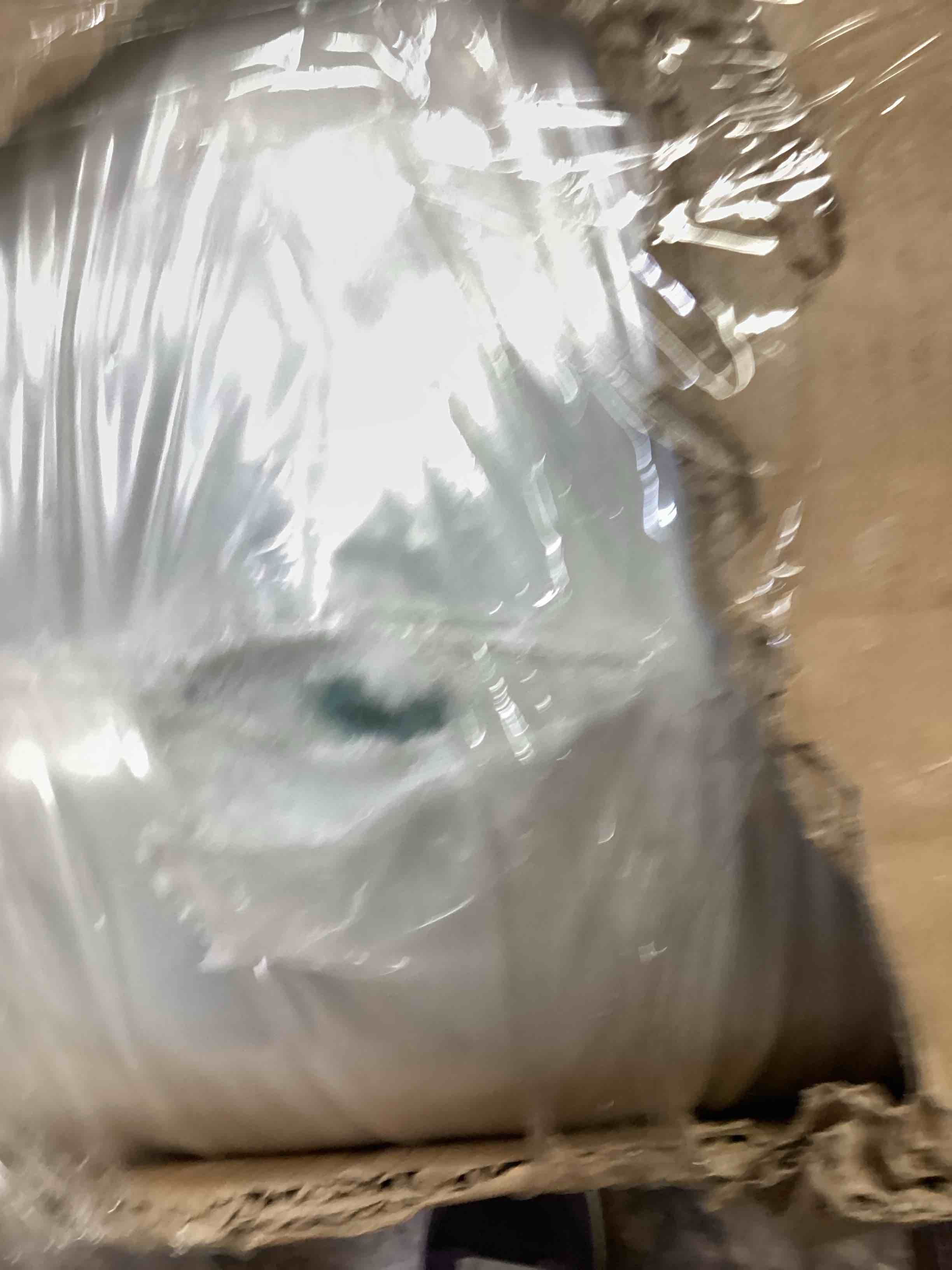 https://s3.amazonaws.com/lotting-images-prod/bidfta/RED6827639_1753813304502.jpeg