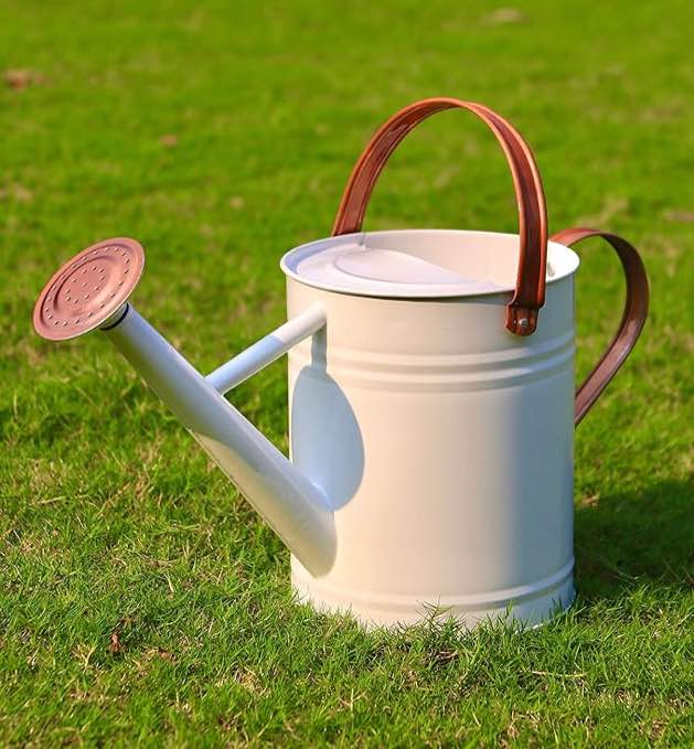 Joequality Watering Can for Outdoor&Indoor Plantsï¼Œ1 Gallon Metal Plant Watering Can with Detachable Diffuser Spoutï¼ŒGalvanized Steel Watering Can with Copper Handlesï¼ŒWhite