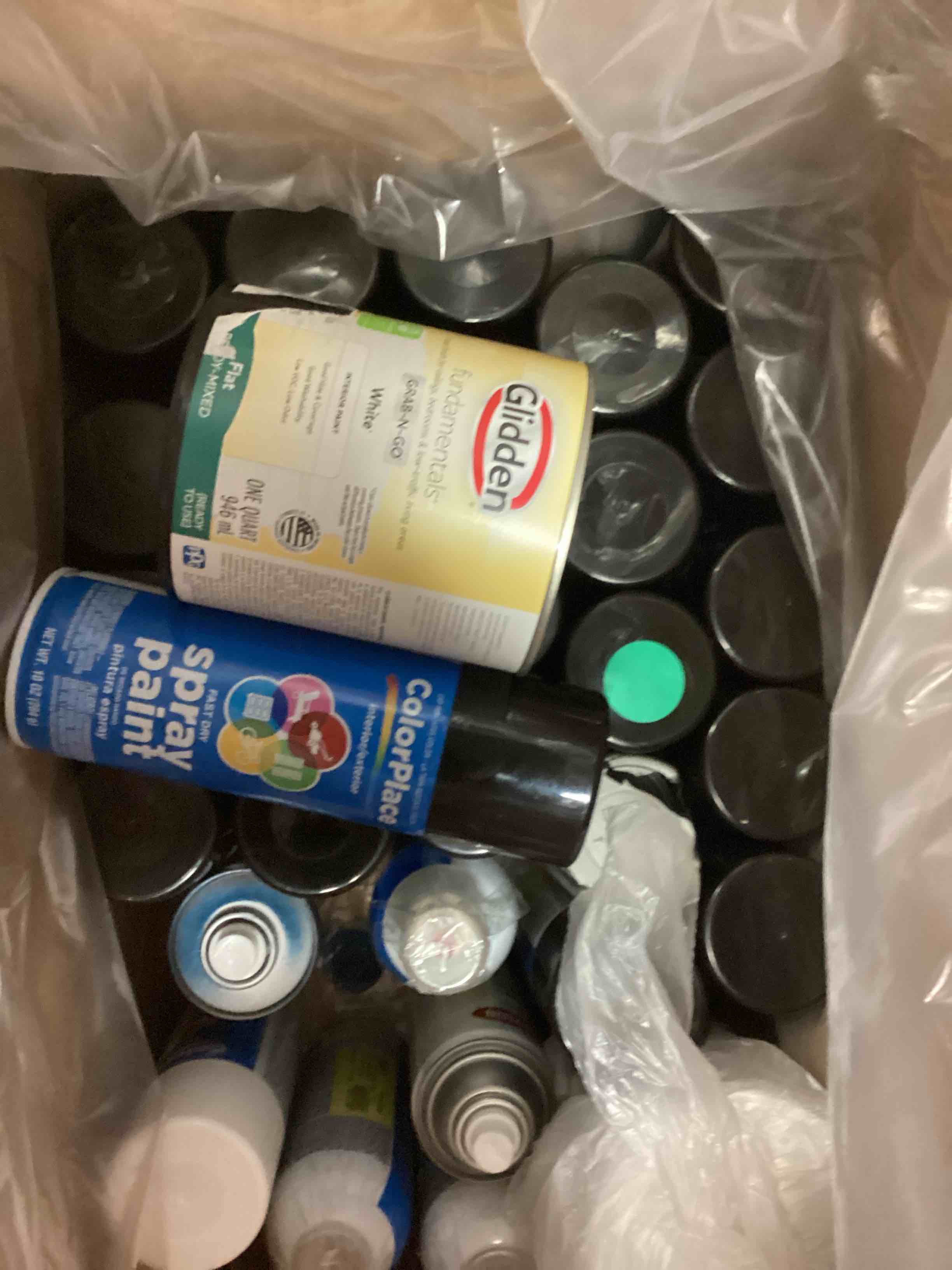 Assortment of Paint, different types, colors and sizes (full box)