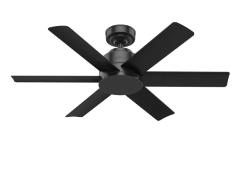 Hunter Kennicott 44" 6 Blade Indoor / Outdoor Ceiling Fan with Wall Control
