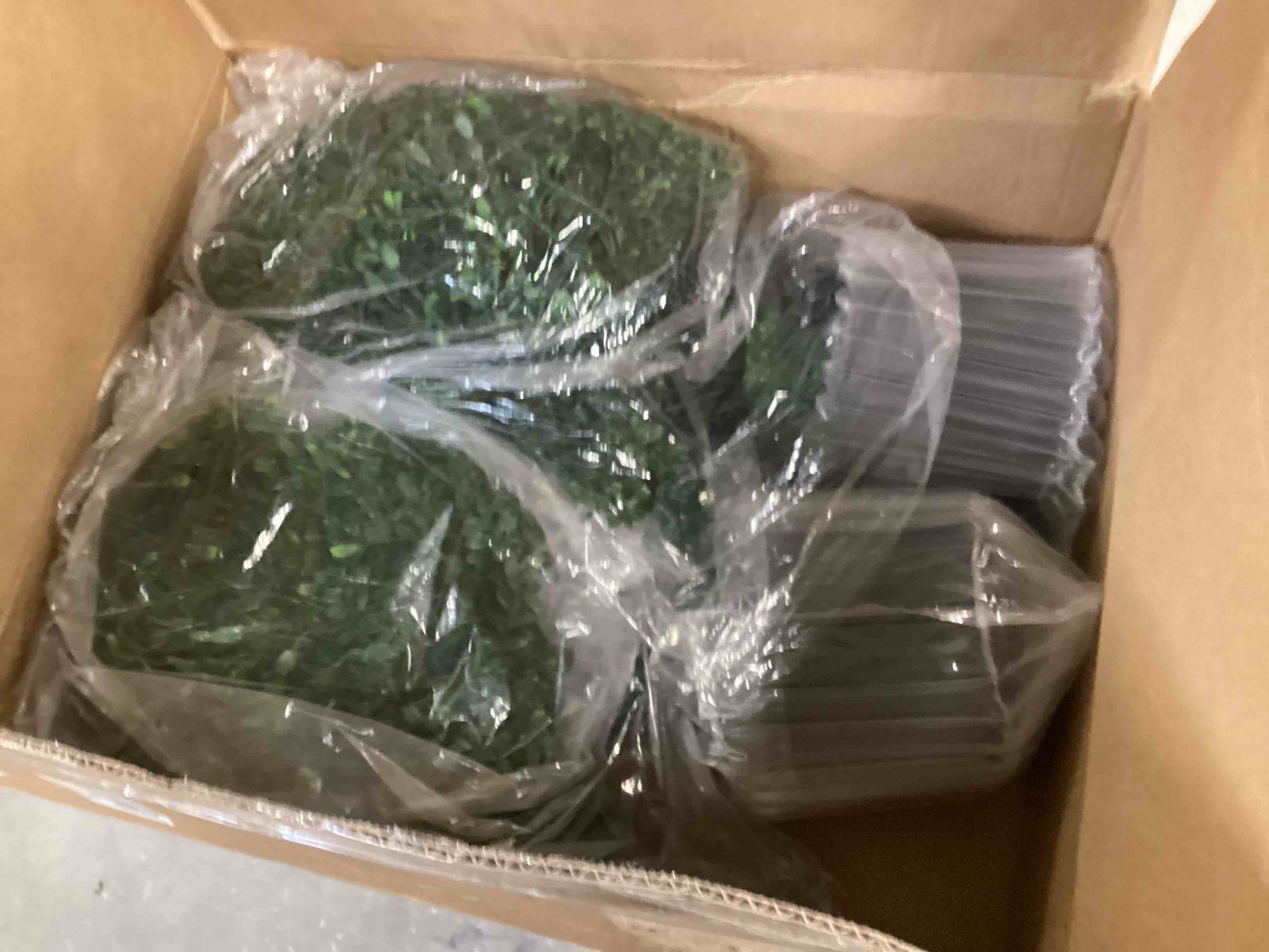 https://s3.amazonaws.com/lotting-images-prod/bidfta/TEA0029302_1723731876585.jpeg
