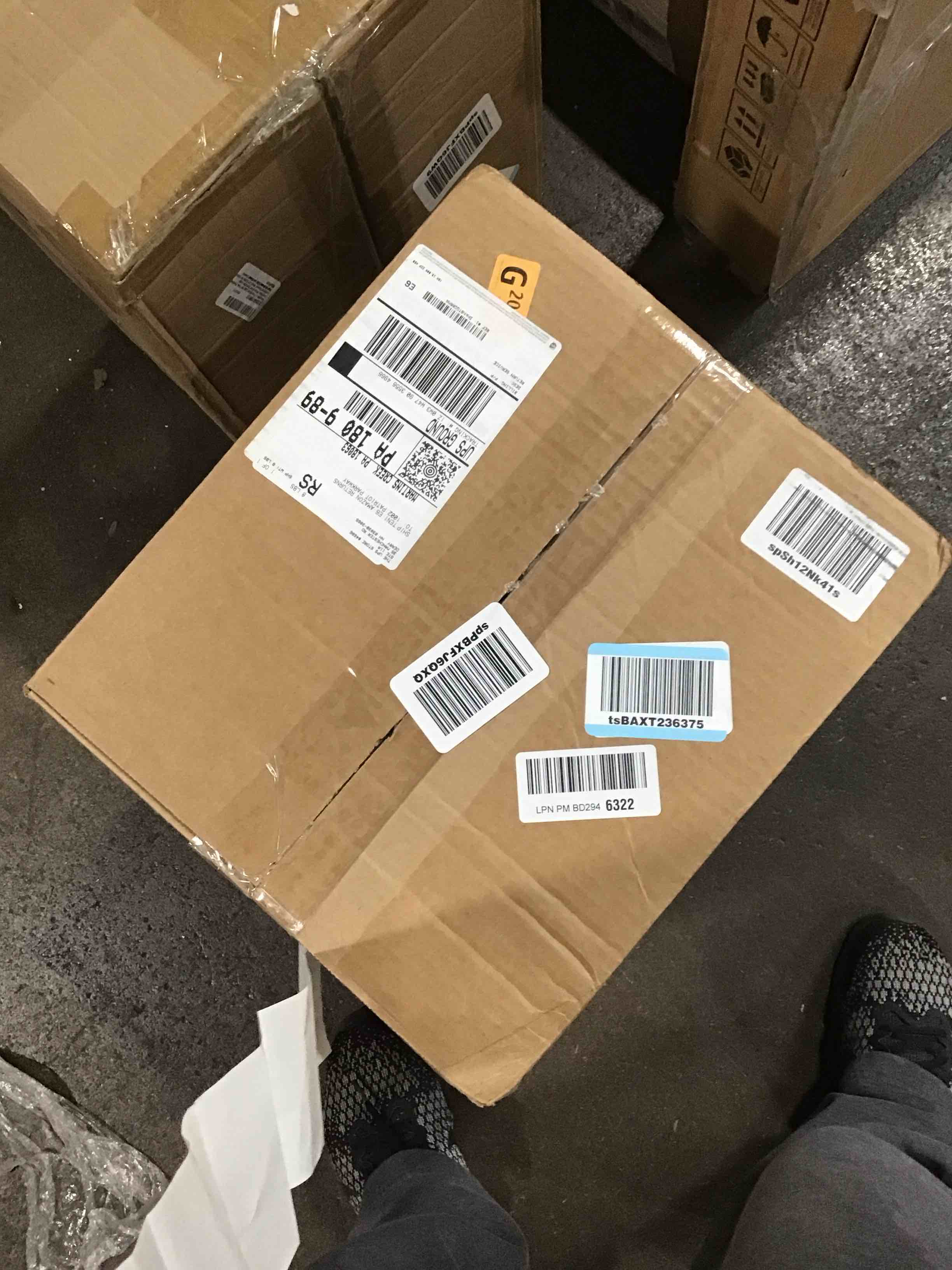 https://s3.amazonaws.com/lotting-images-prod/bidfta/TEA0108890_1728076685719.jpeg