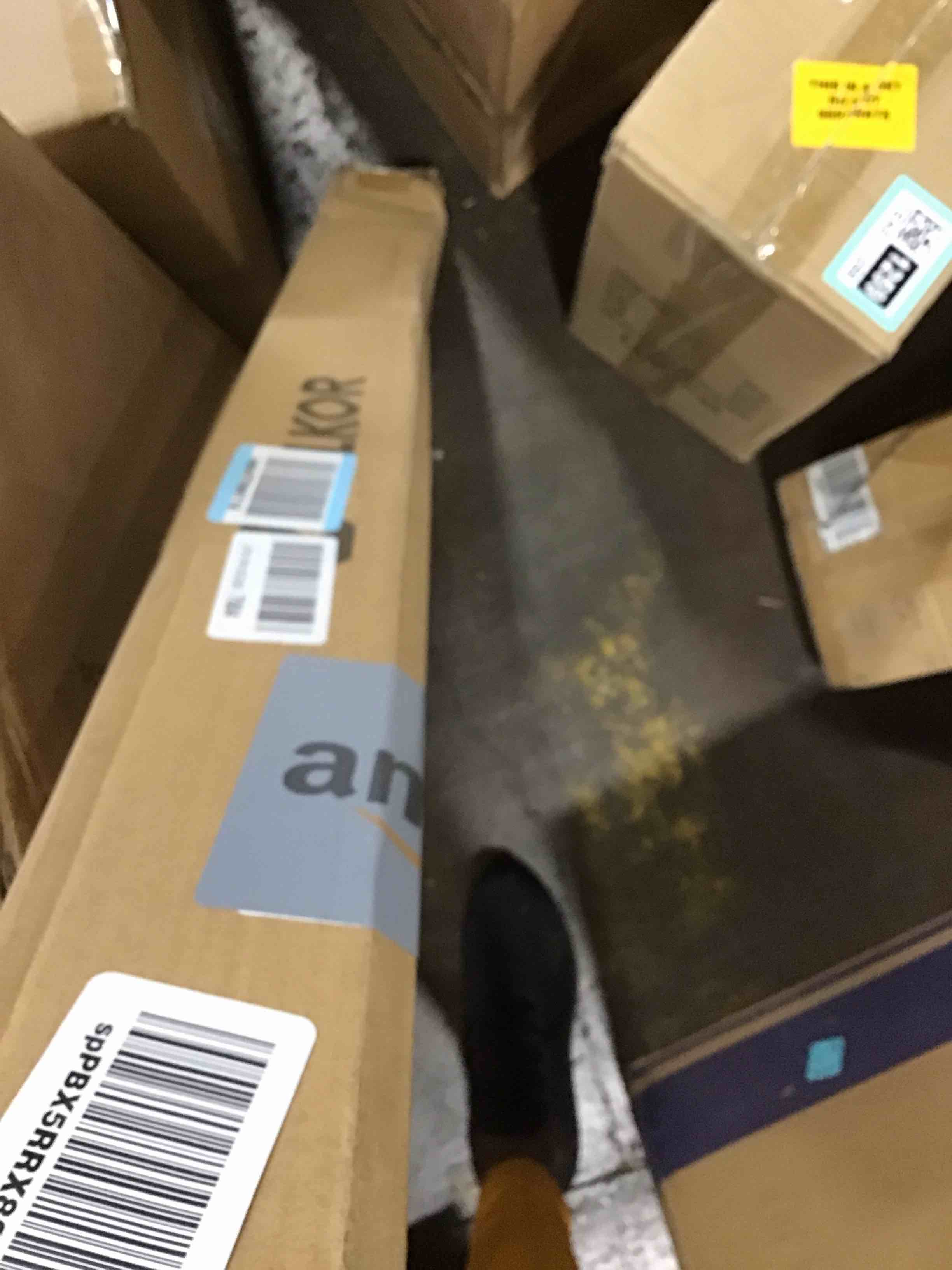 https://s3.amazonaws.com/lotting-images-prod/bidfta/TEA0111260_1727890248186.jpeg