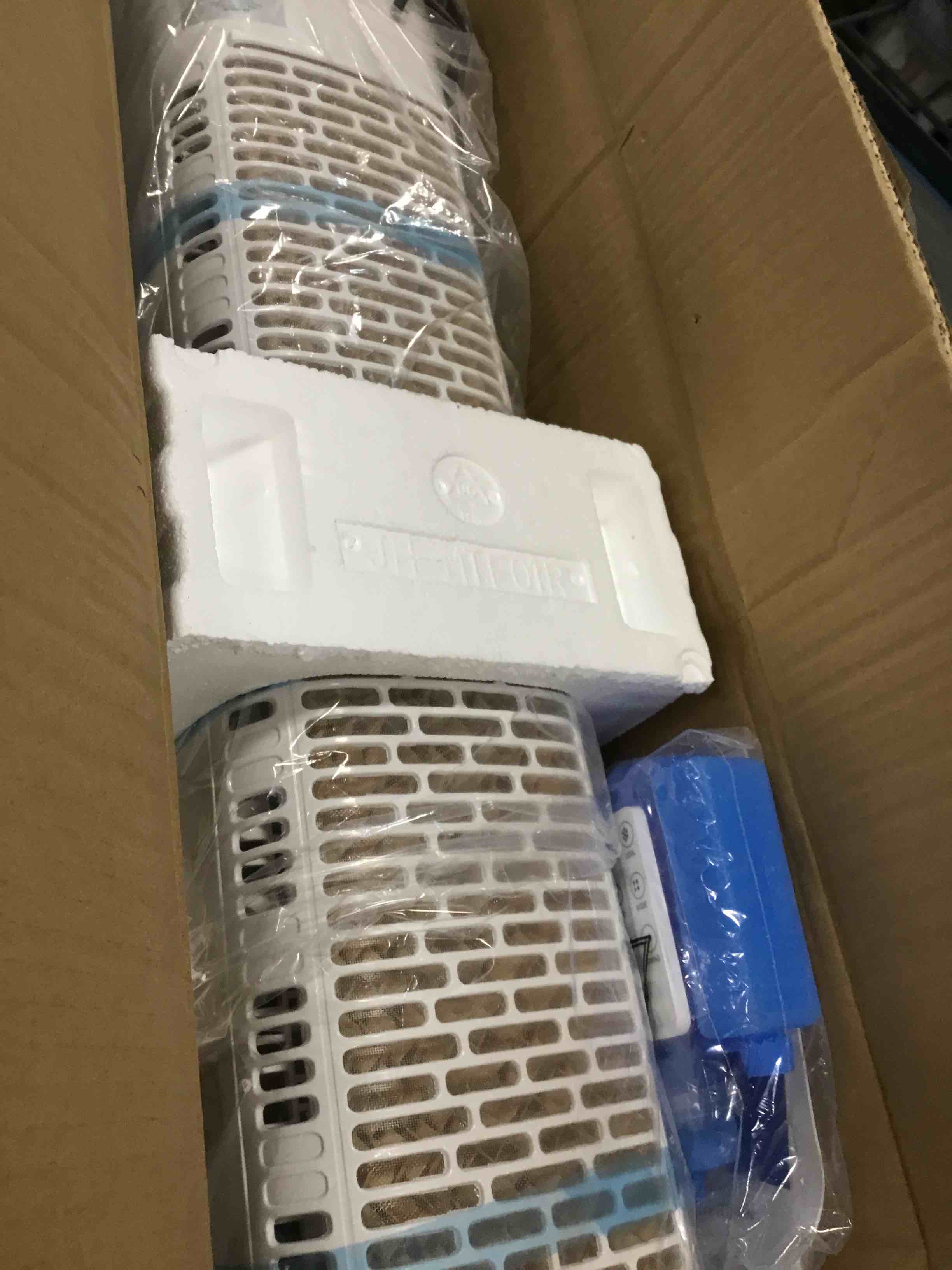 https://s3.amazonaws.com/lotting-images-prod/bidfta/TEA0130886_1724158084510.jpeg