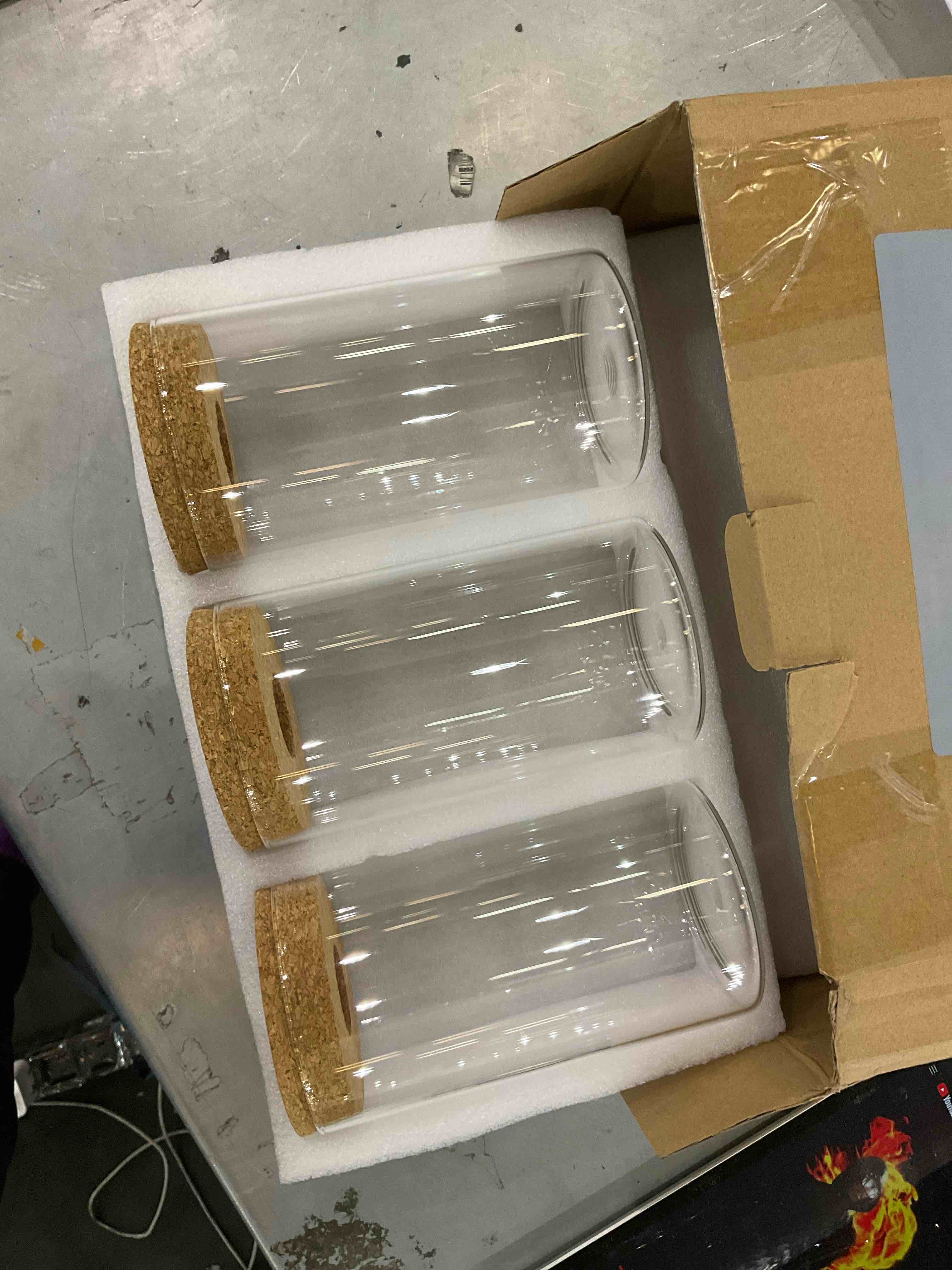 plants propagation station, set of 3