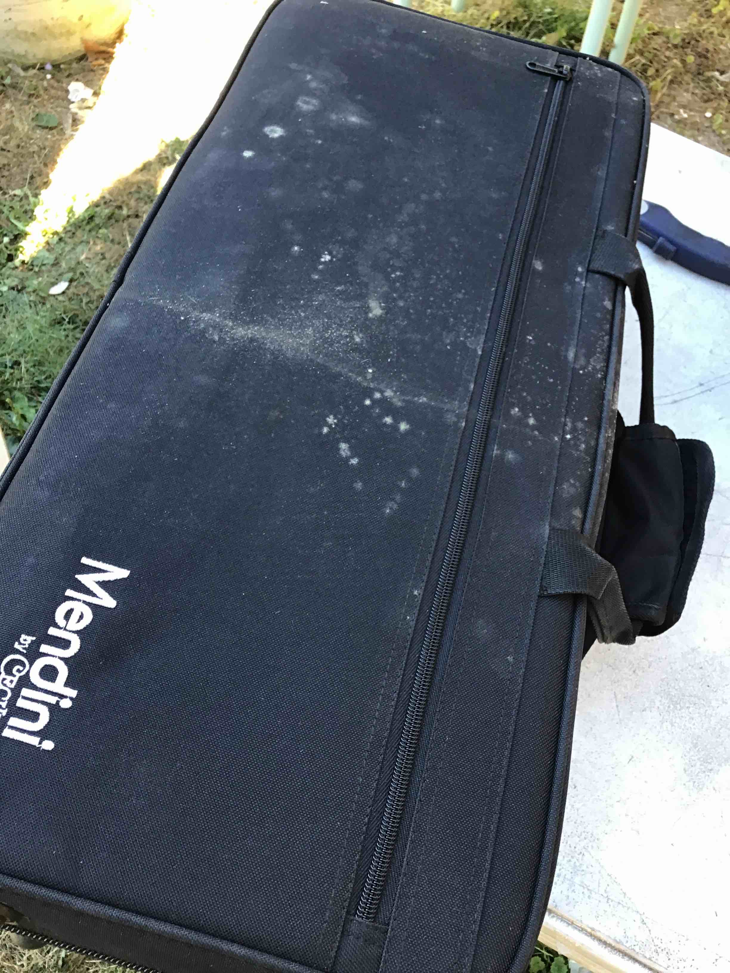 Mendini By Cecilio Eb Alto Sax W/tuner, Case, Mouthpiece