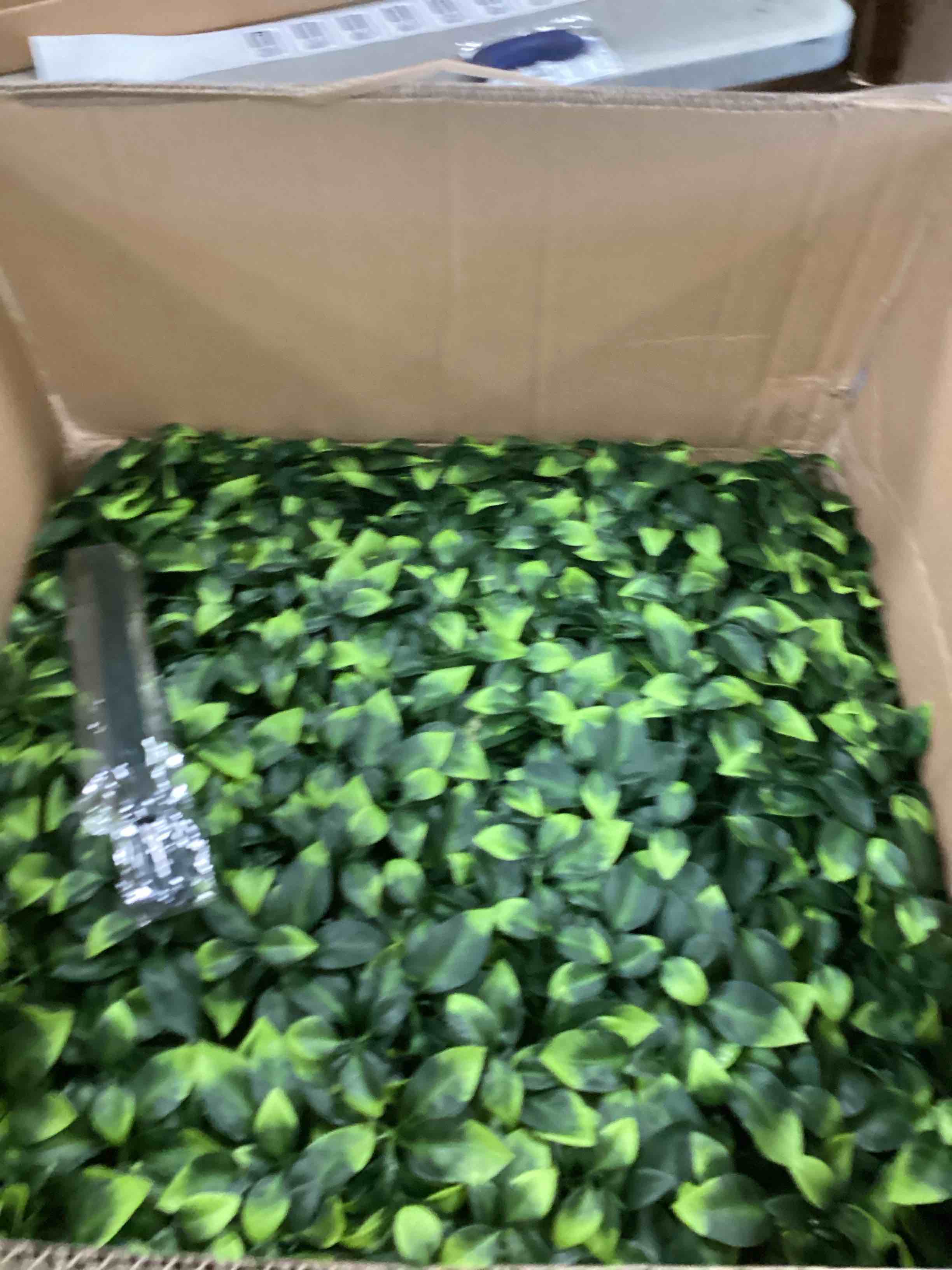 https://s3.amazonaws.com/lotting-images-prod/bidfta/TEA0216431_1727986783128.jpeg