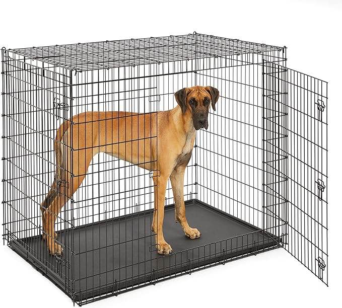Midwest Homes for Pets Ginormous Double Door 54-Inch Dog Crate for XXL Dogs Breeds; Great Dane, Mastiff, St. Bernard, Drop Pin 