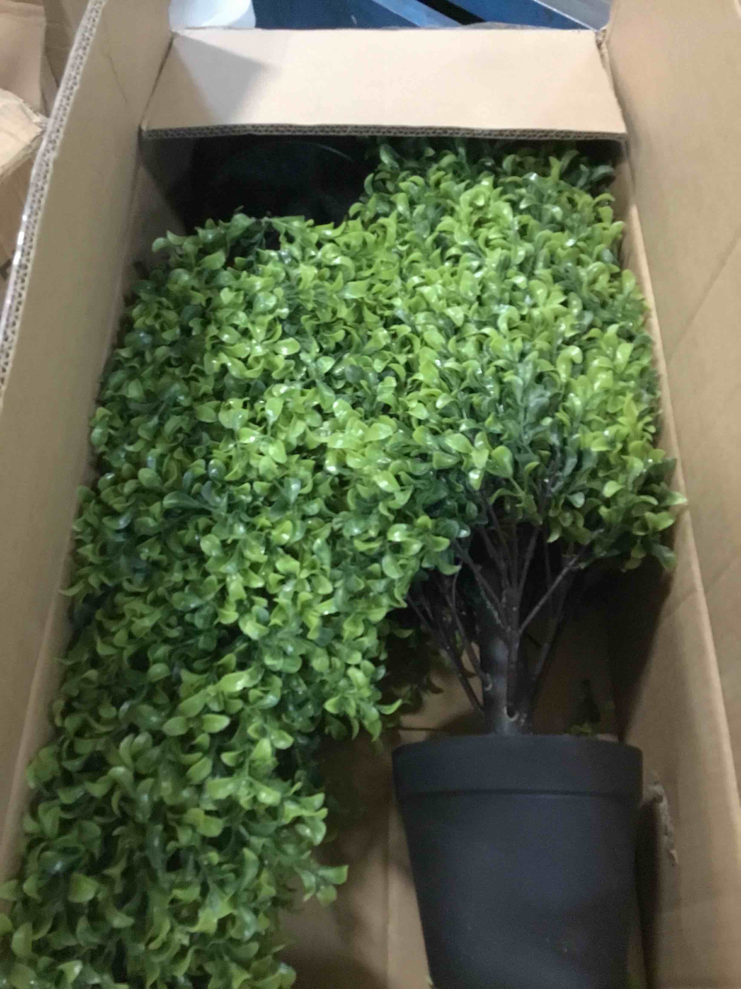 https://s3.amazonaws.com/lotting-images-prod/bidfta/TEA0288107_1728450549966.jpeg