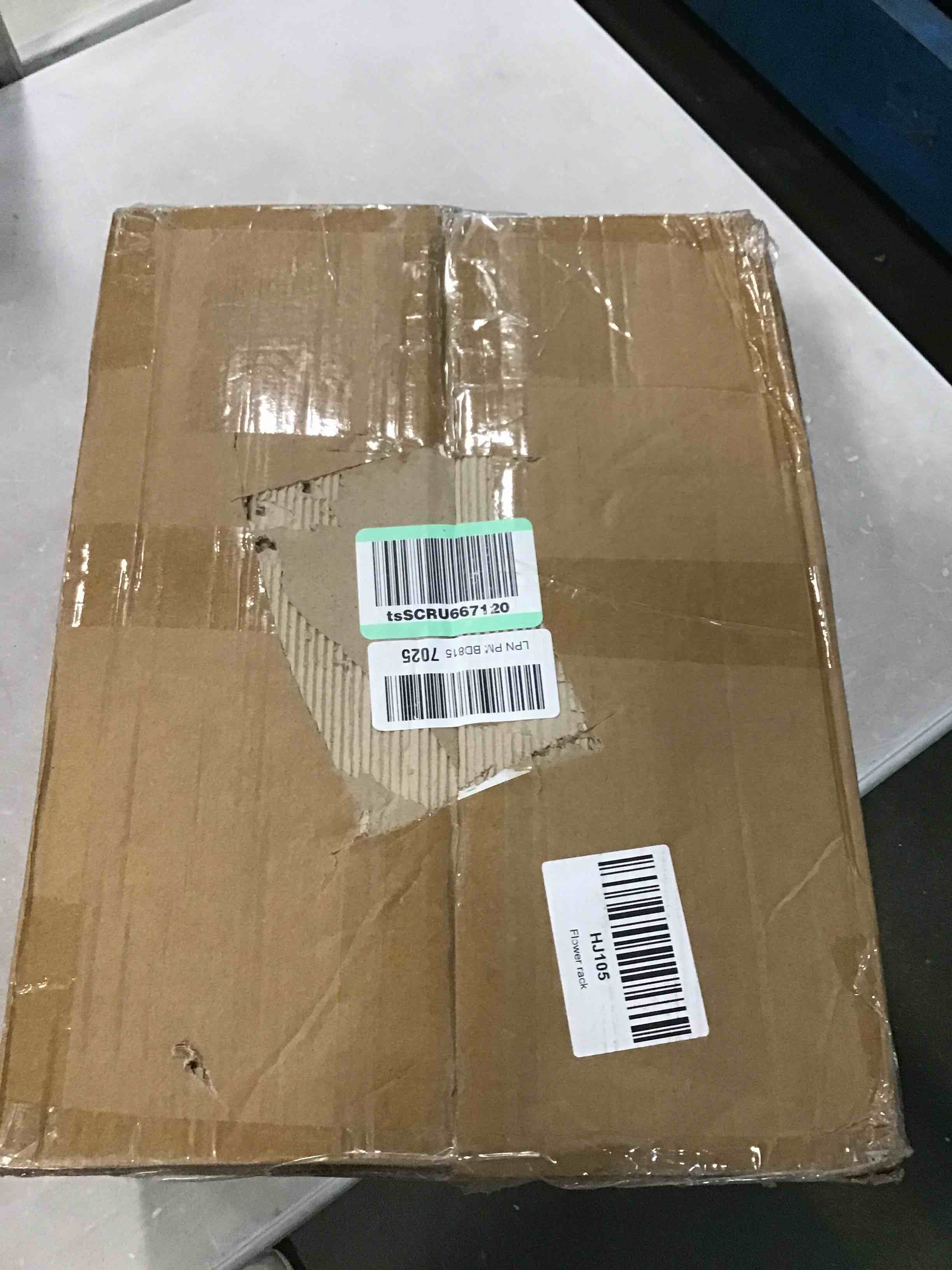 https://s3.amazonaws.com/lotting-images-prod/bidfta/TEA0288467_1728017229785.jpeg