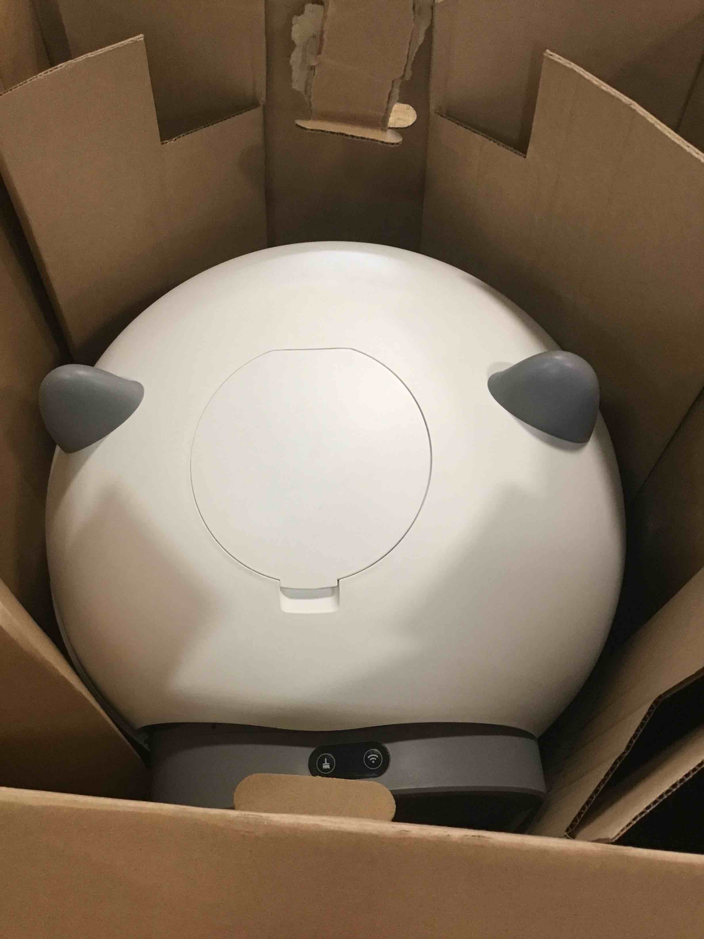 https://s3.amazonaws.com/lotting-images-prod/bidfta/TEA0300907_1727202474007.jpeg