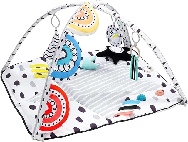 LADIDA Stage-Based Baby Play Gym - 4 Zone Sensory & Motor Skills Development Activity Gym - Large 45" Padded Palette Play Mat for Newborn to Toddler with STEM Based Toys, Textures, Learning Cards