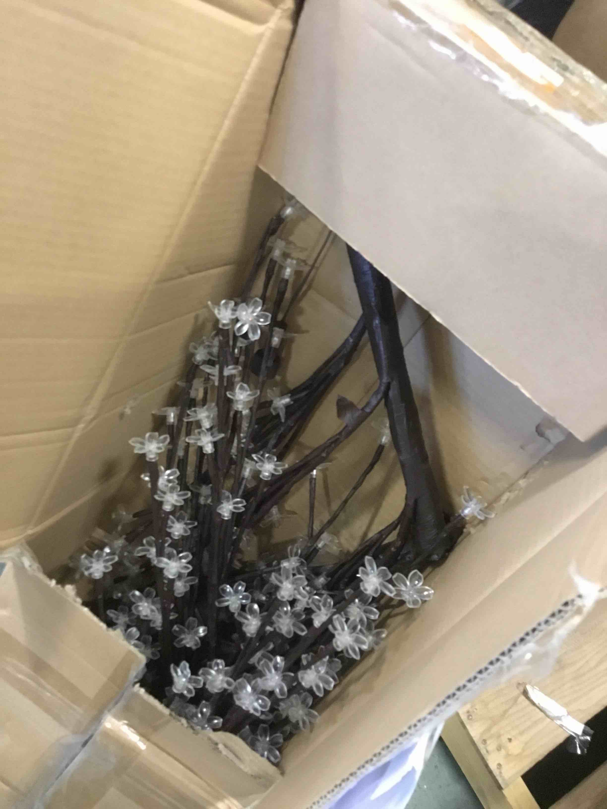 https://s3.amazonaws.com/lotting-images-prod/bidfta/TEA0314451_1730820259415.jpeg
