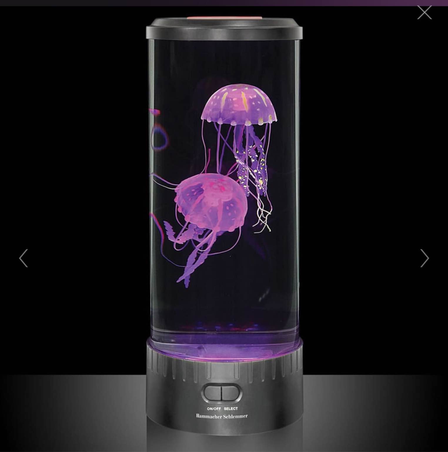 The Best Jellyfish Aquarium