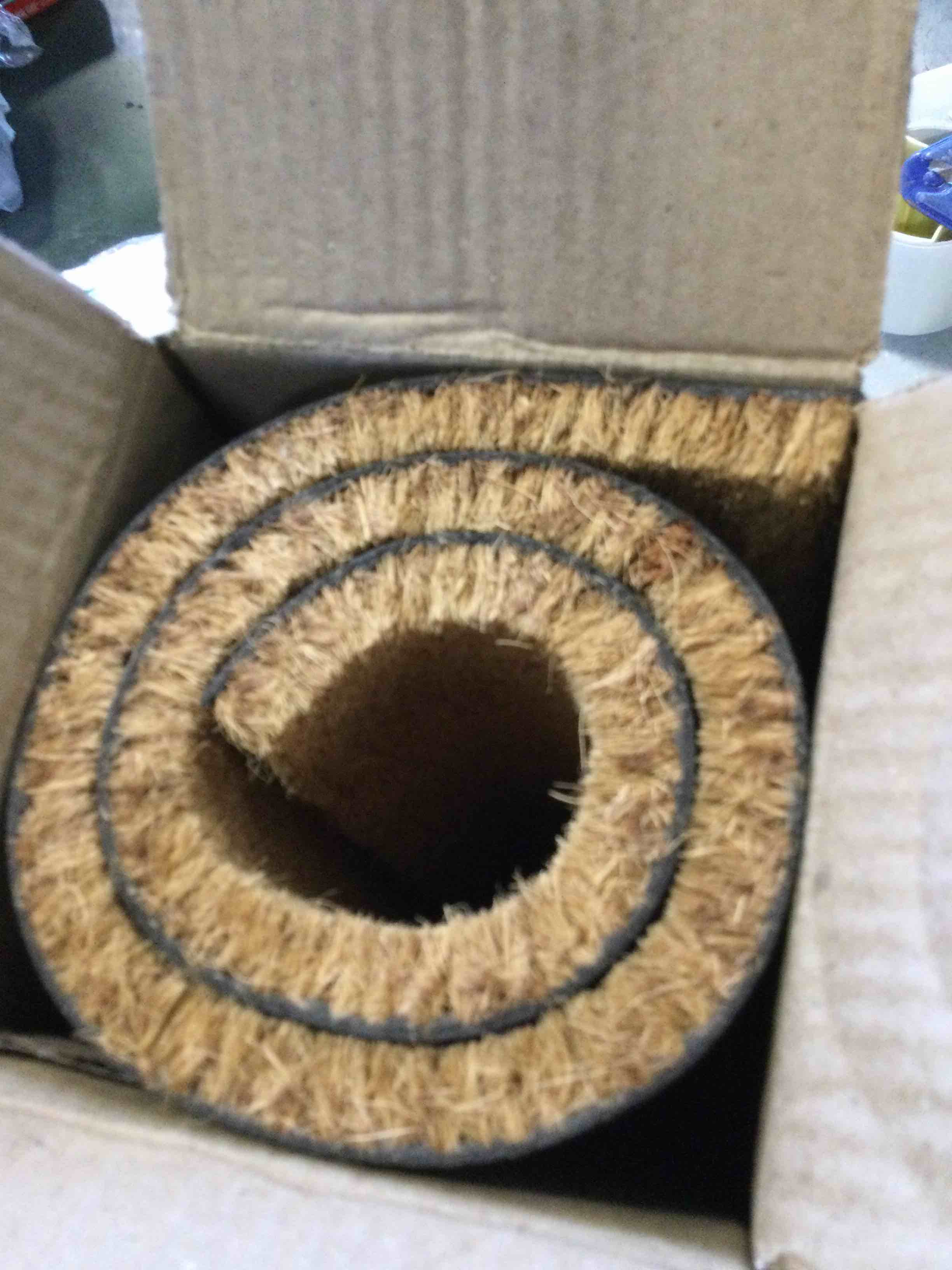 https://s3.amazonaws.com/lotting-images-prod/bidfta/TEA0320619_1728667259755.jpeg