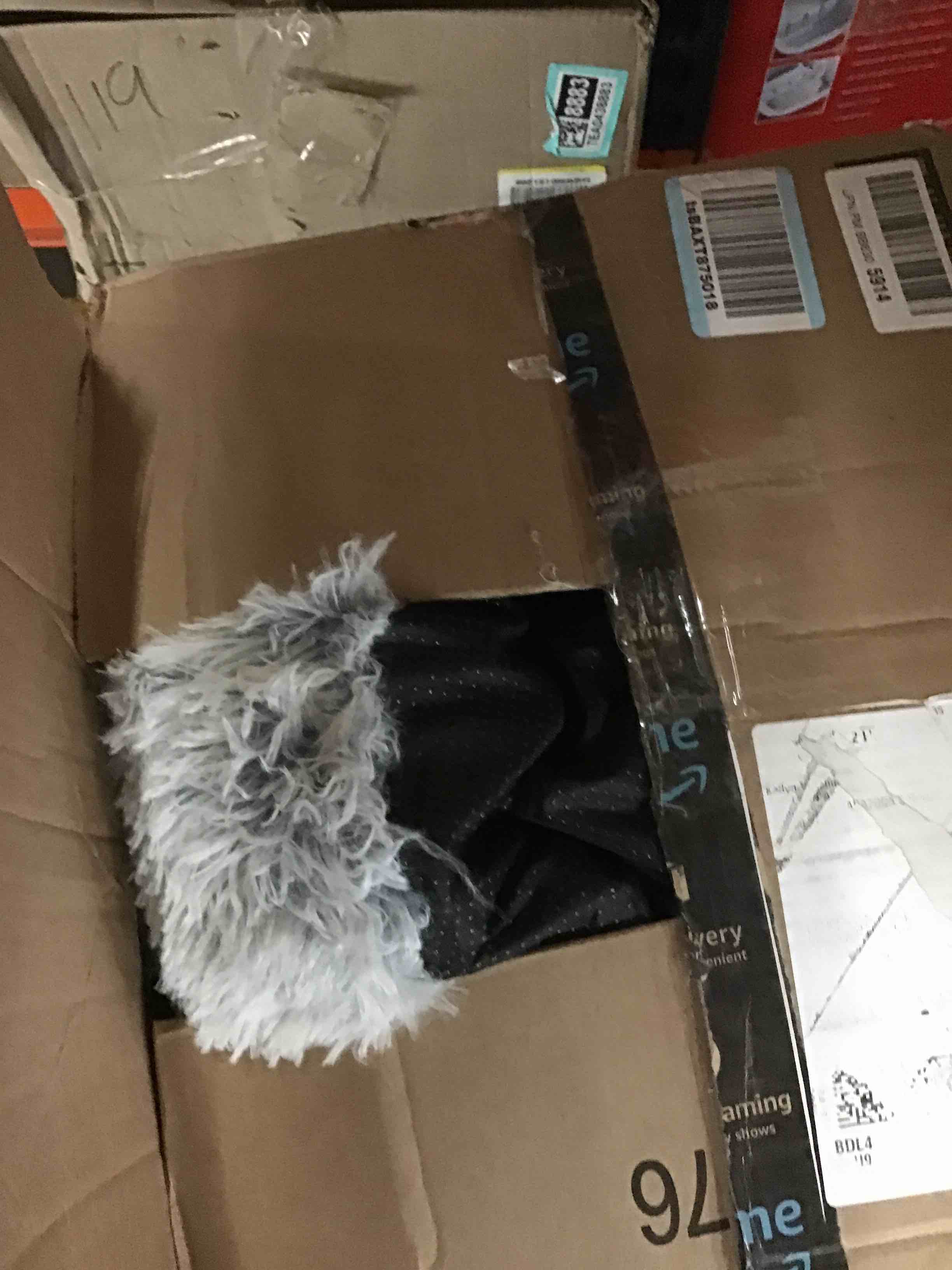 https://s3.amazonaws.com/lotting-images-prod/bidfta/TEA0329039_1733264738953.jpeg