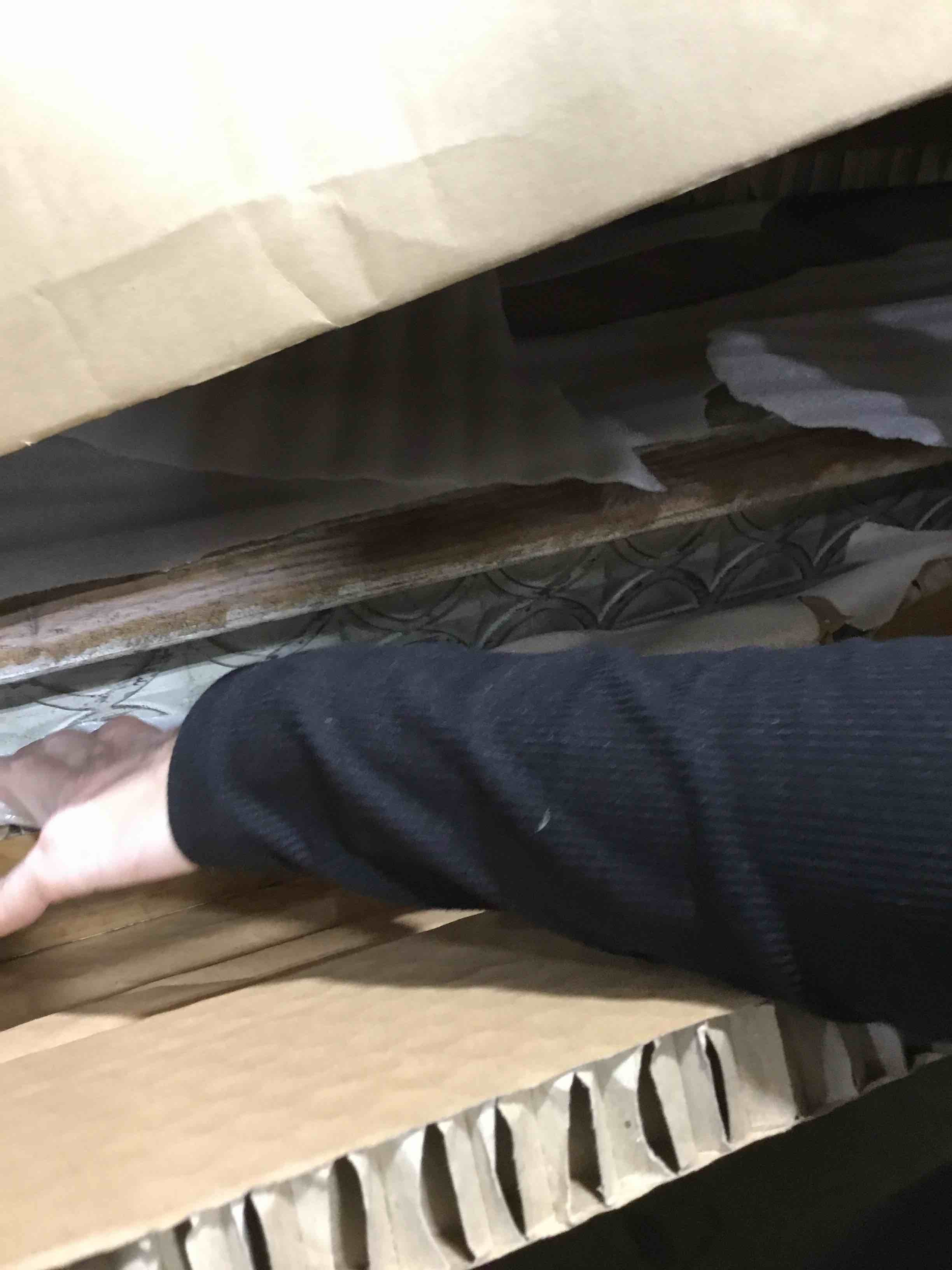 https://s3.amazonaws.com/lotting-images-prod/bidfta/TEA0379824_1730820591150.jpeg