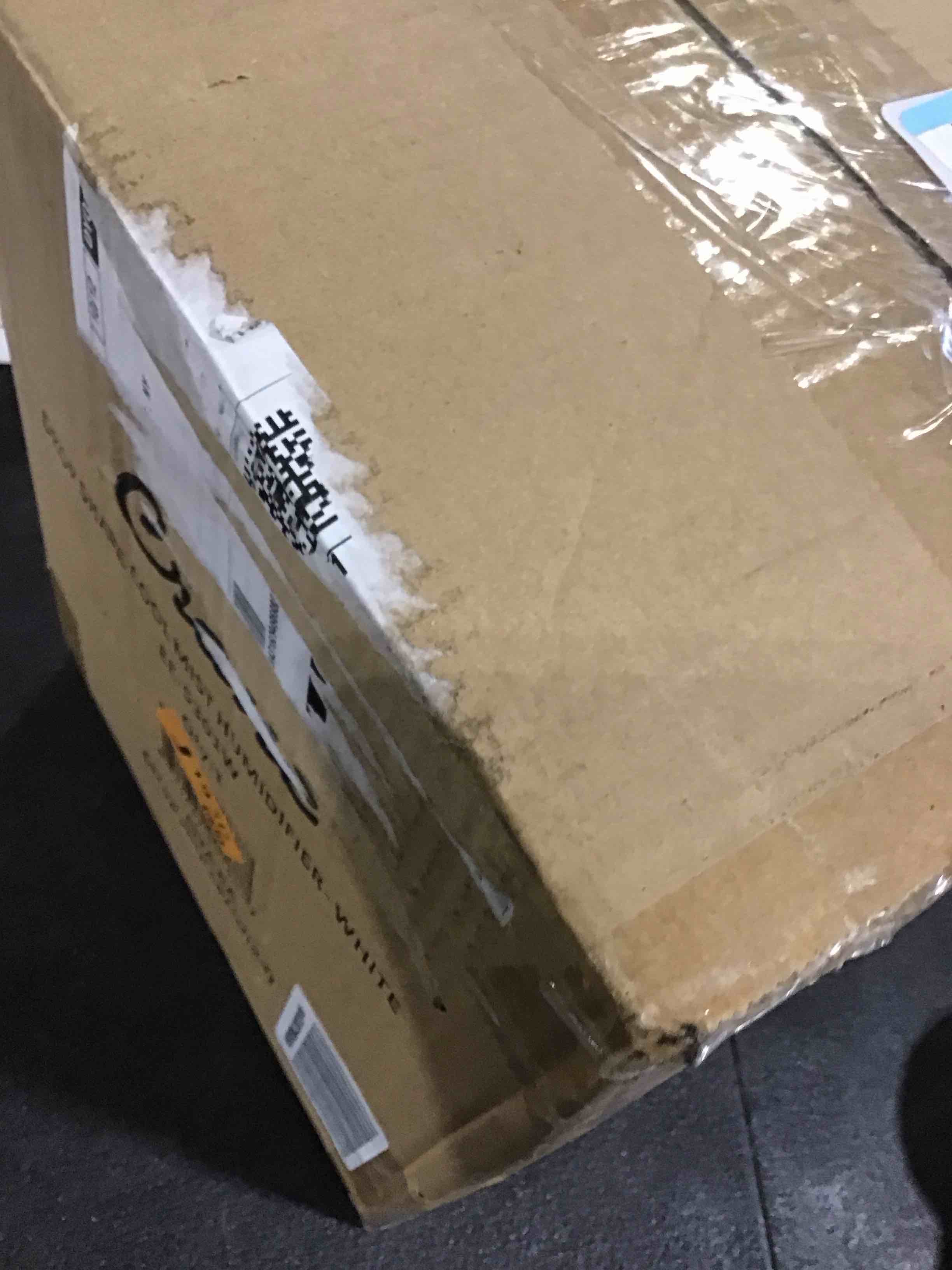 https://s3.amazonaws.com/lotting-images-prod/bidfta/TEA0380009_1733234100242.jpeg