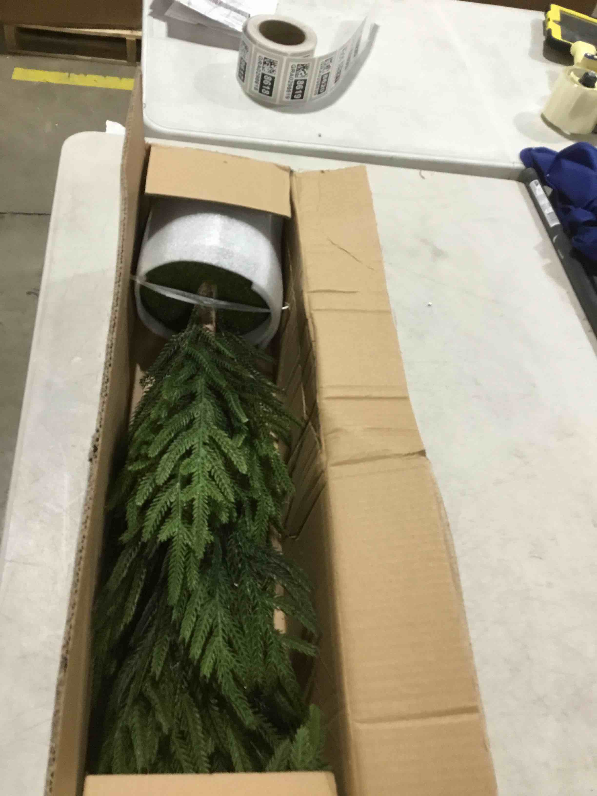 https://s3.amazonaws.com/lotting-images-prod/bidfta/TEA0384076_1734465126693.jpeg