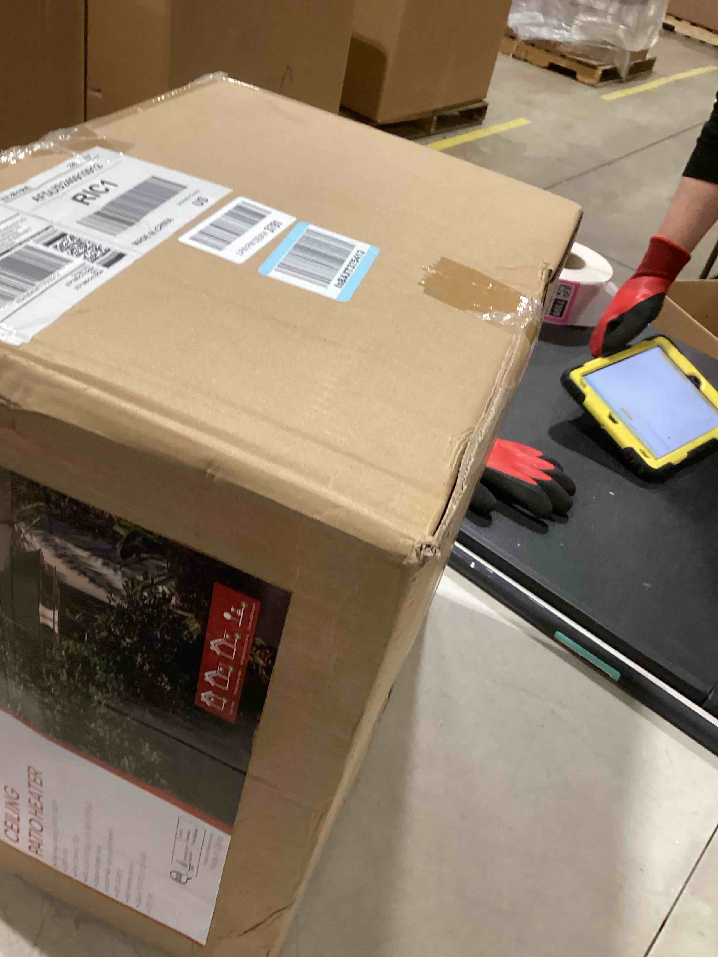 https://s3.amazonaws.com/lotting-images-prod/bidfta/TEA0384403_1734036354034.jpeg