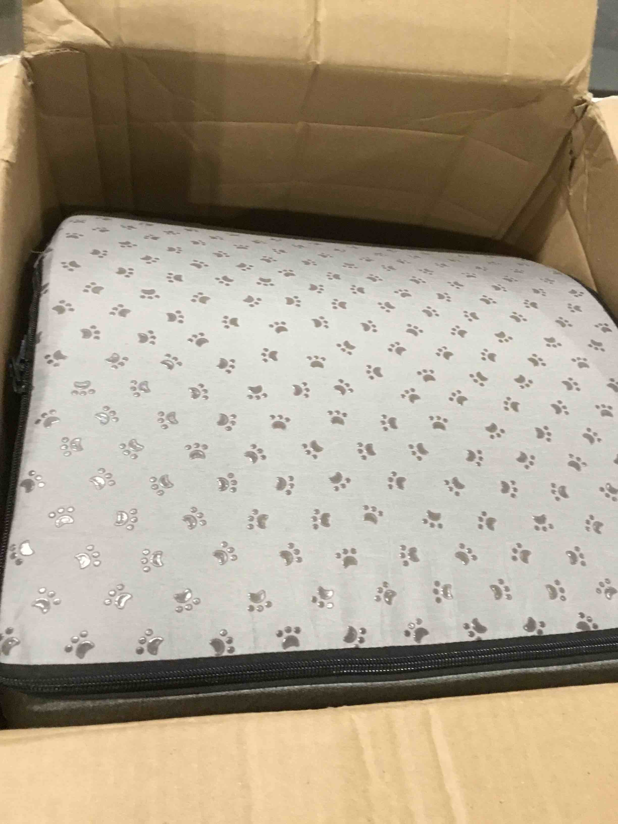 https://s3.amazonaws.com/lotting-images-prod/bidfta/TEA0393353_1729005948333.jpeg