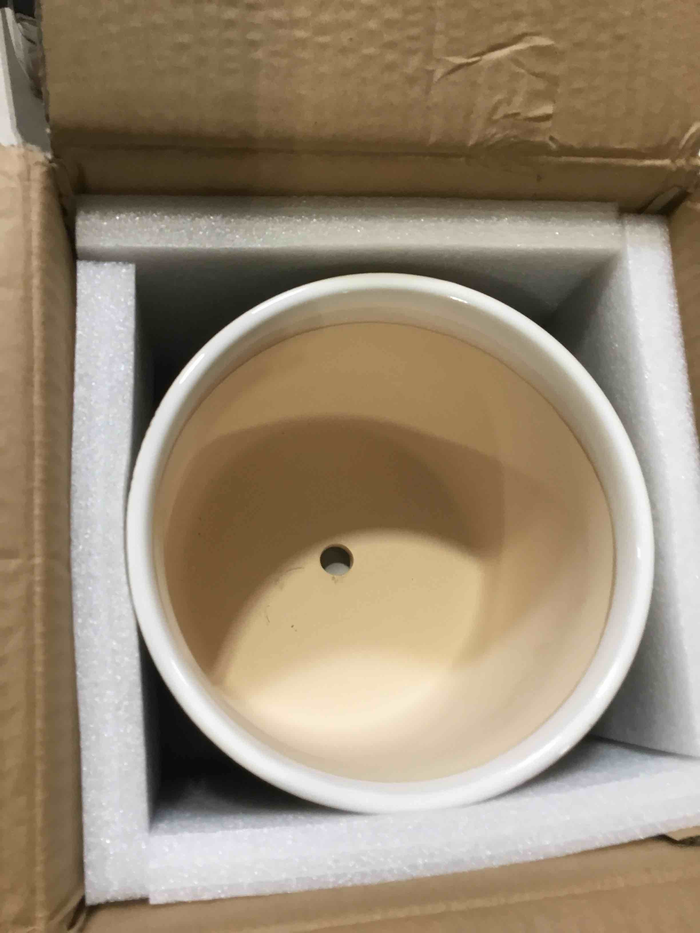 https://s3.amazonaws.com/lotting-images-prod/bidfta/TEA0393522_1728921302662.jpeg