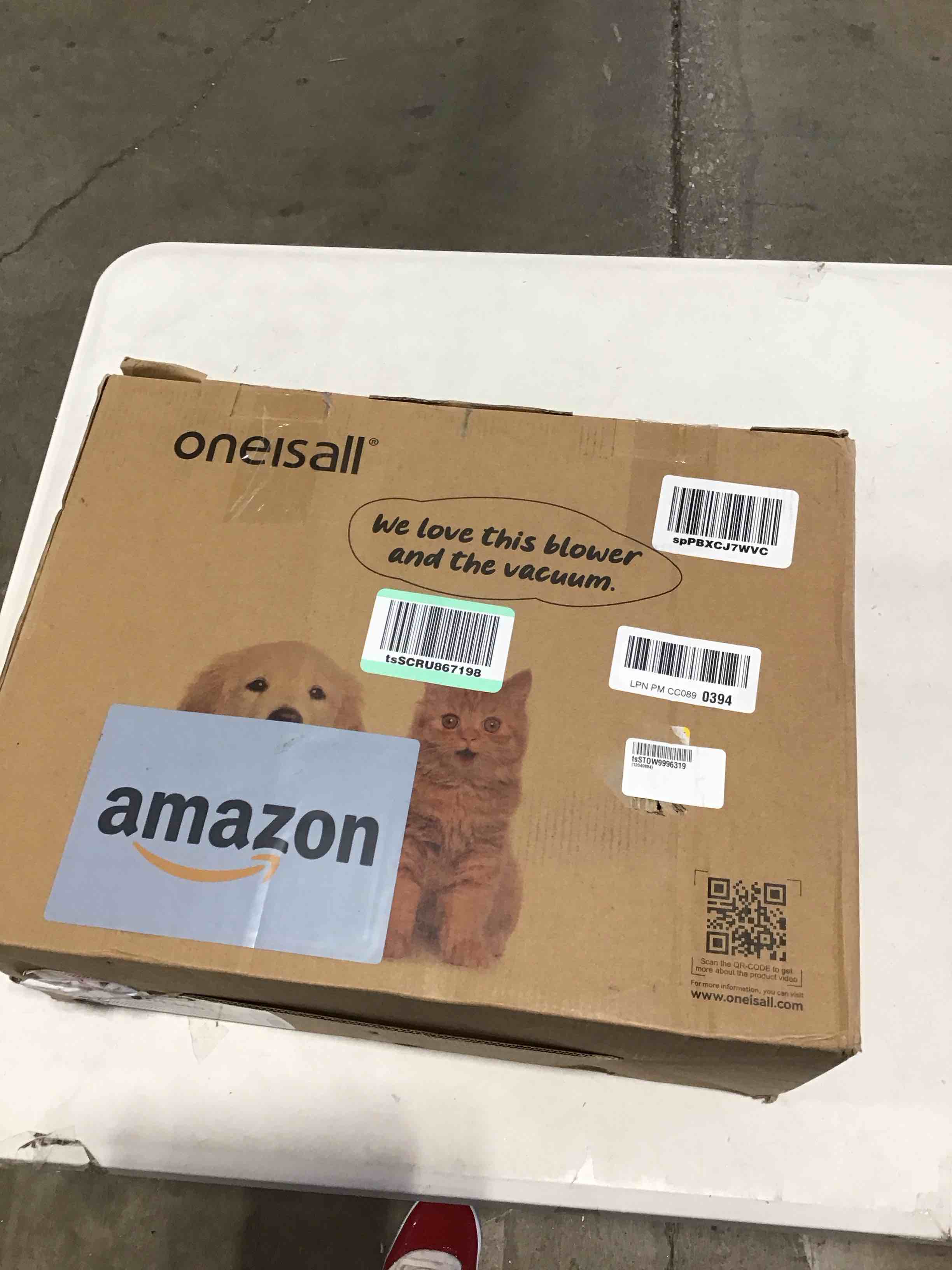 https://s3.amazonaws.com/lotting-images-prod/bidfta/TEA0395779_1728412969301.jpeg