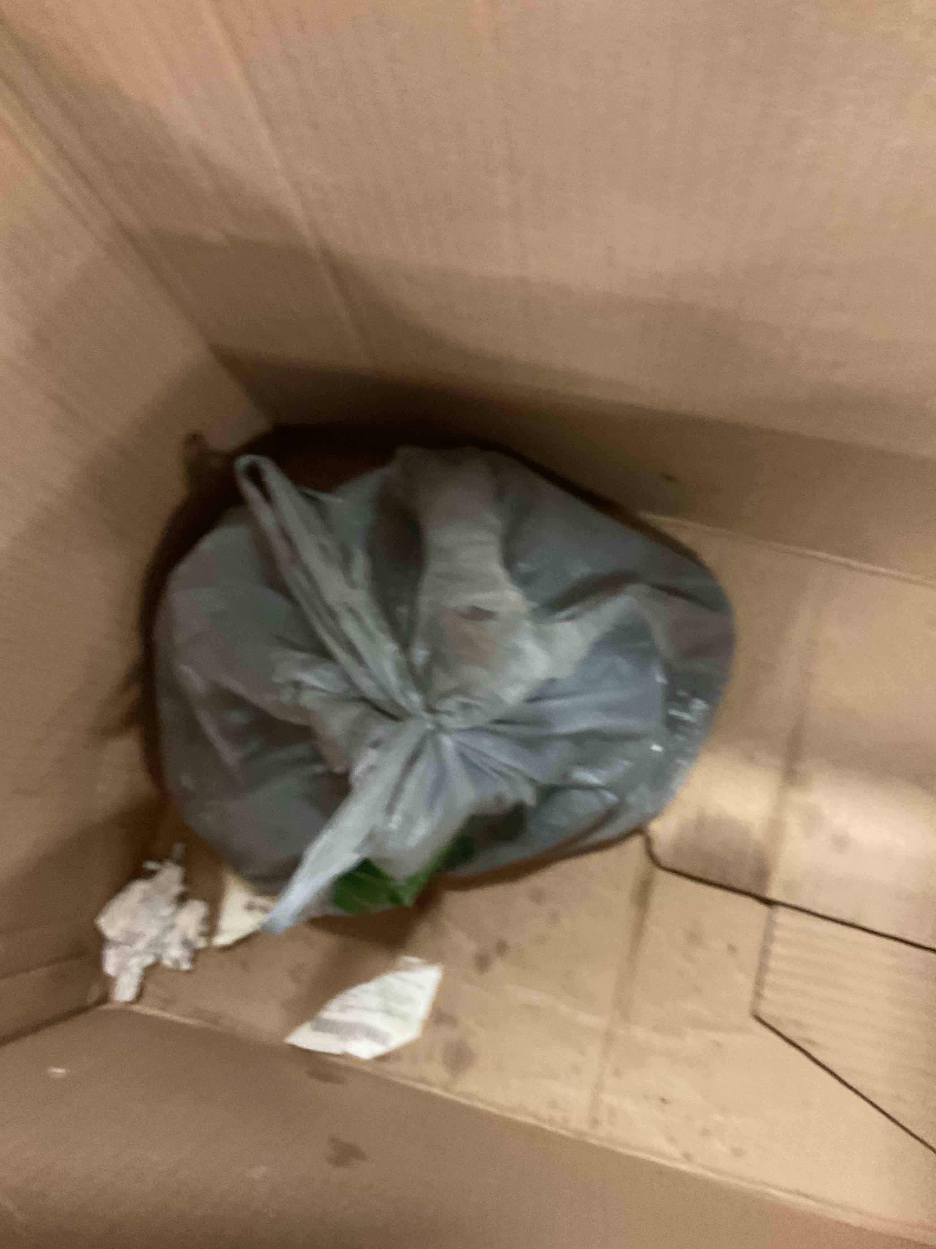 https://s3.amazonaws.com/lotting-images-prod/bidfta/TEA0398616_1738103271277.jpeg
