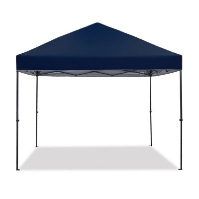 Member's Mark Instant Canopy