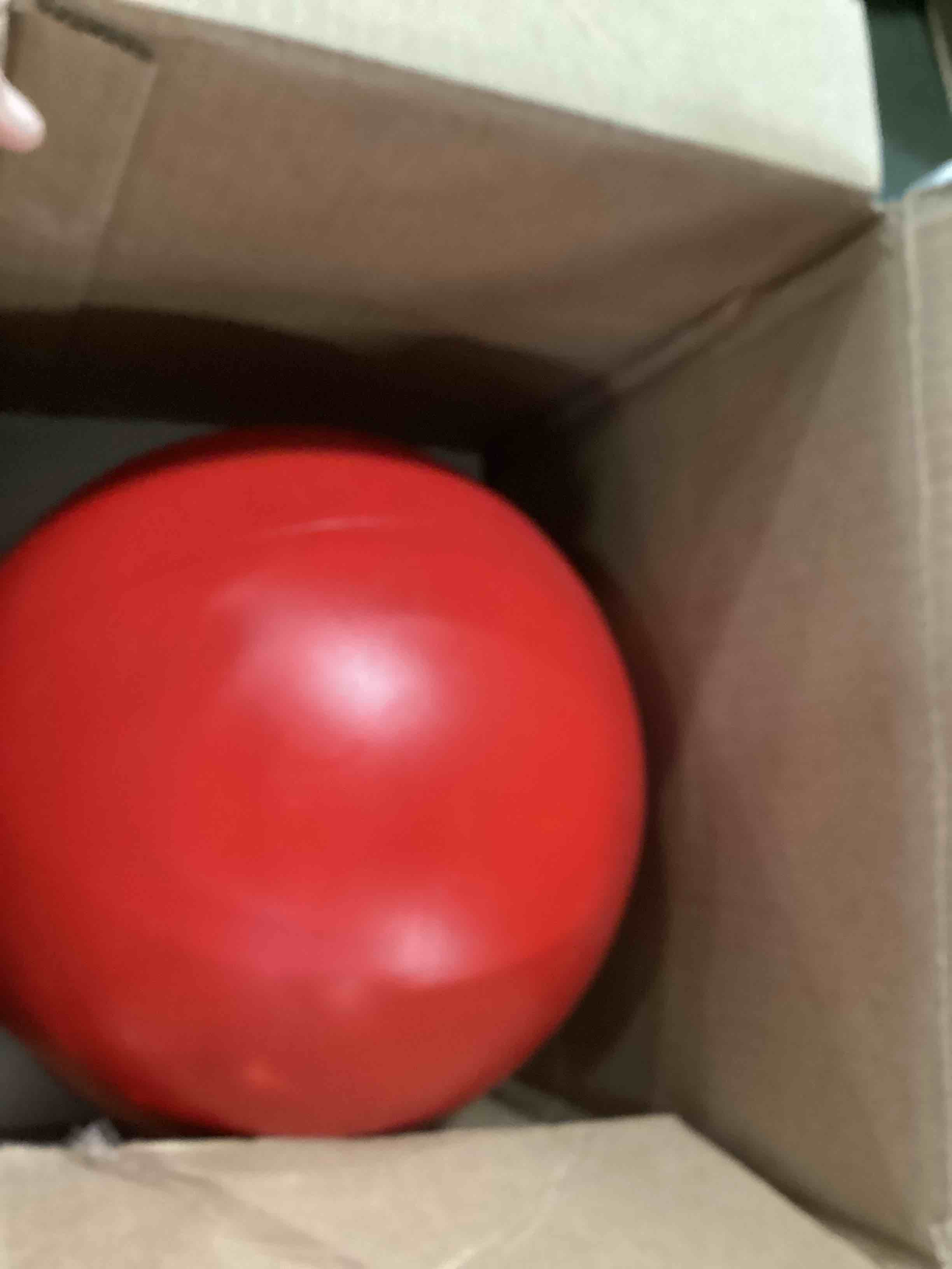 https://s3.amazonaws.com/lotting-images-prod/bidfta/TEA0432153_1730206366880.jpeg