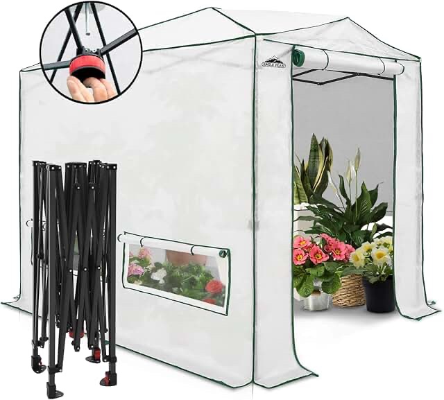 EAGLE PEAK 8x6 Portable, Heavy-Duty, Walk-in Pop-up Greenhouse, Indoor Outdoor Gardening Green House, 2 Roll-Up Zipper Entry Doors and 2 Large Roll-Up Side Windows, White