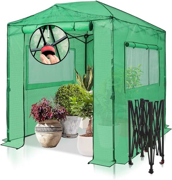 EAGLE PEAK 8x6 Portable, Heavy-Duty, Walk-in Pop-up Greenhouse, Indoor Outdoor Gardening Green House, 2 Roll-Up Zipper Entry Doors and 2 Large Roll-Up Side Windows, White