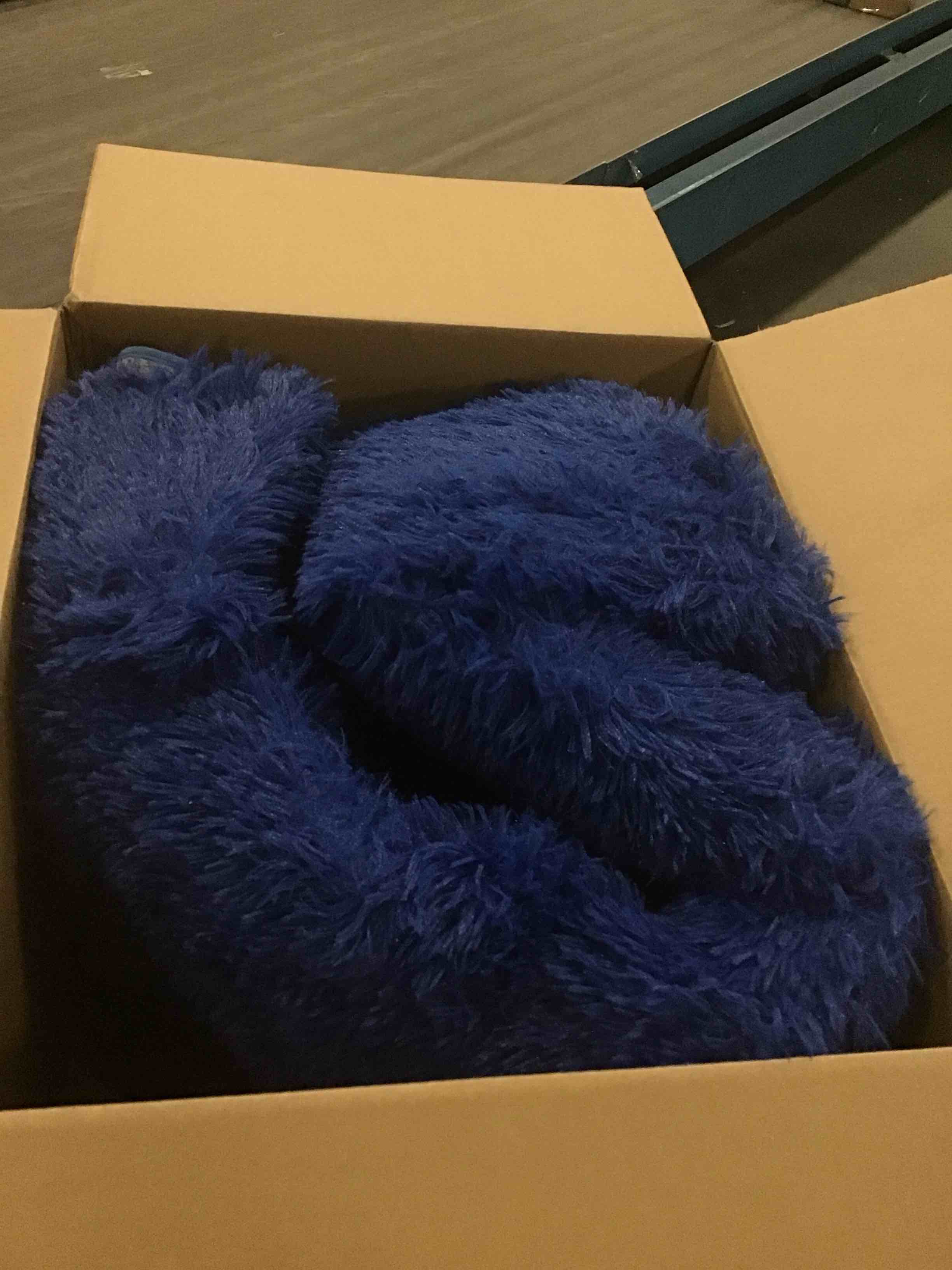https://s3.amazonaws.com/lotting-images-prod/bidfta/TEA0449913_1729139759256.jpeg