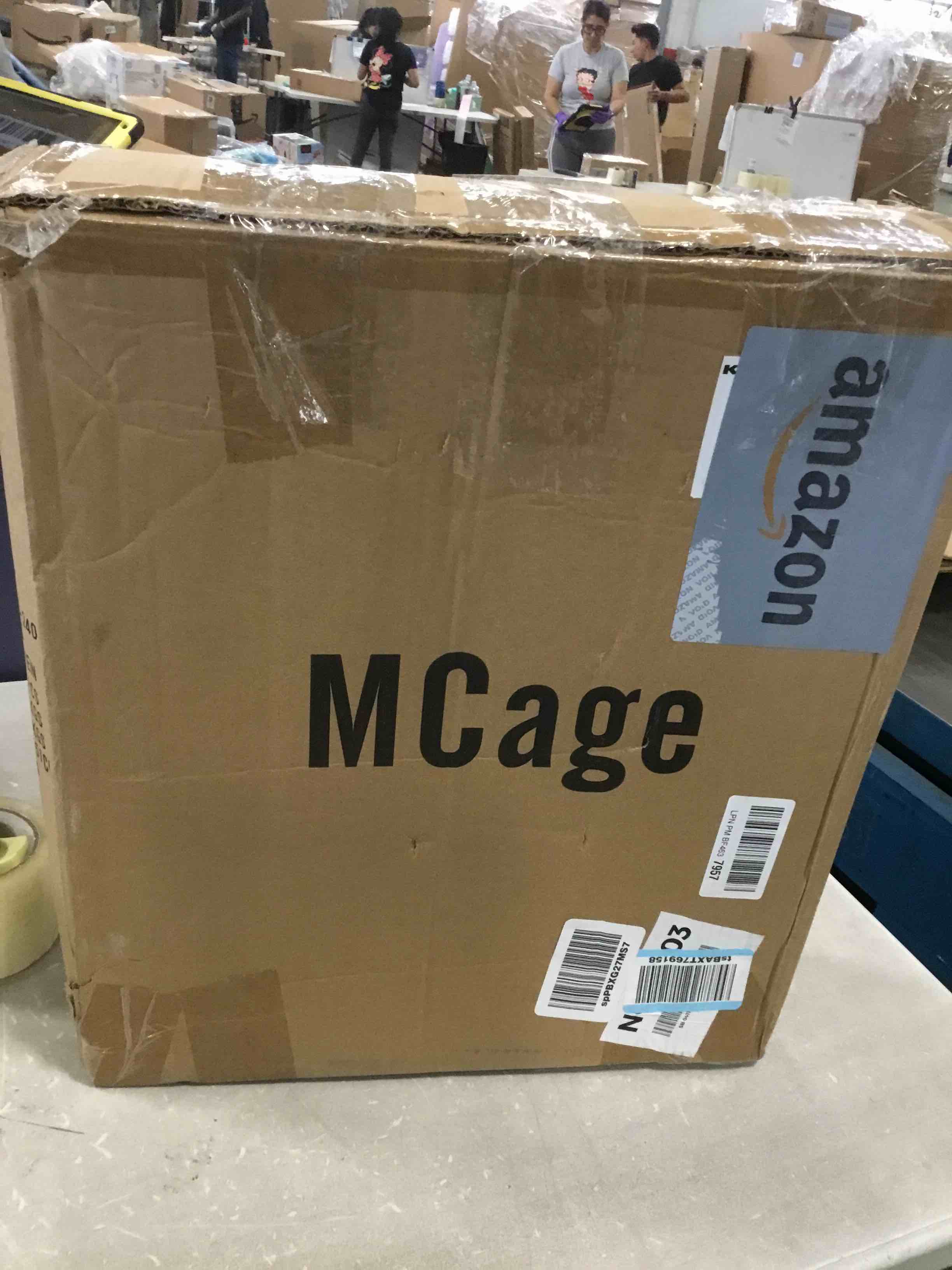 https://s3.amazonaws.com/lotting-images-prod/bidfta/TEA0452089_1729869190011.jpeg
