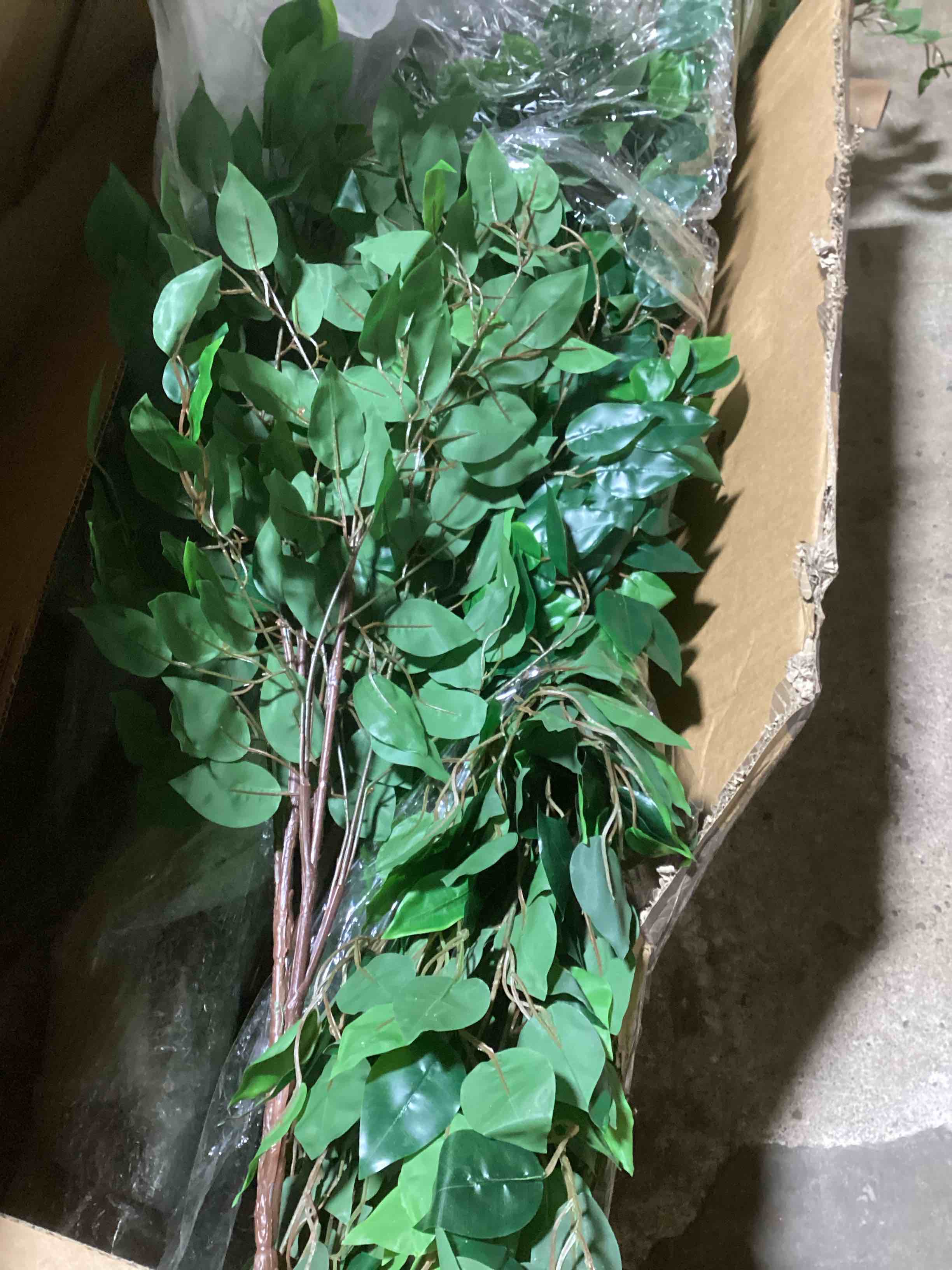 https://s3.amazonaws.com/lotting-images-prod/bidfta/TEA0456652_1729775013426.jpeg