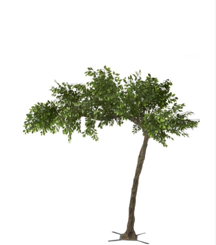 Green Leaves Tree - 10.5 Feet Tall x 12 Feet Wide 