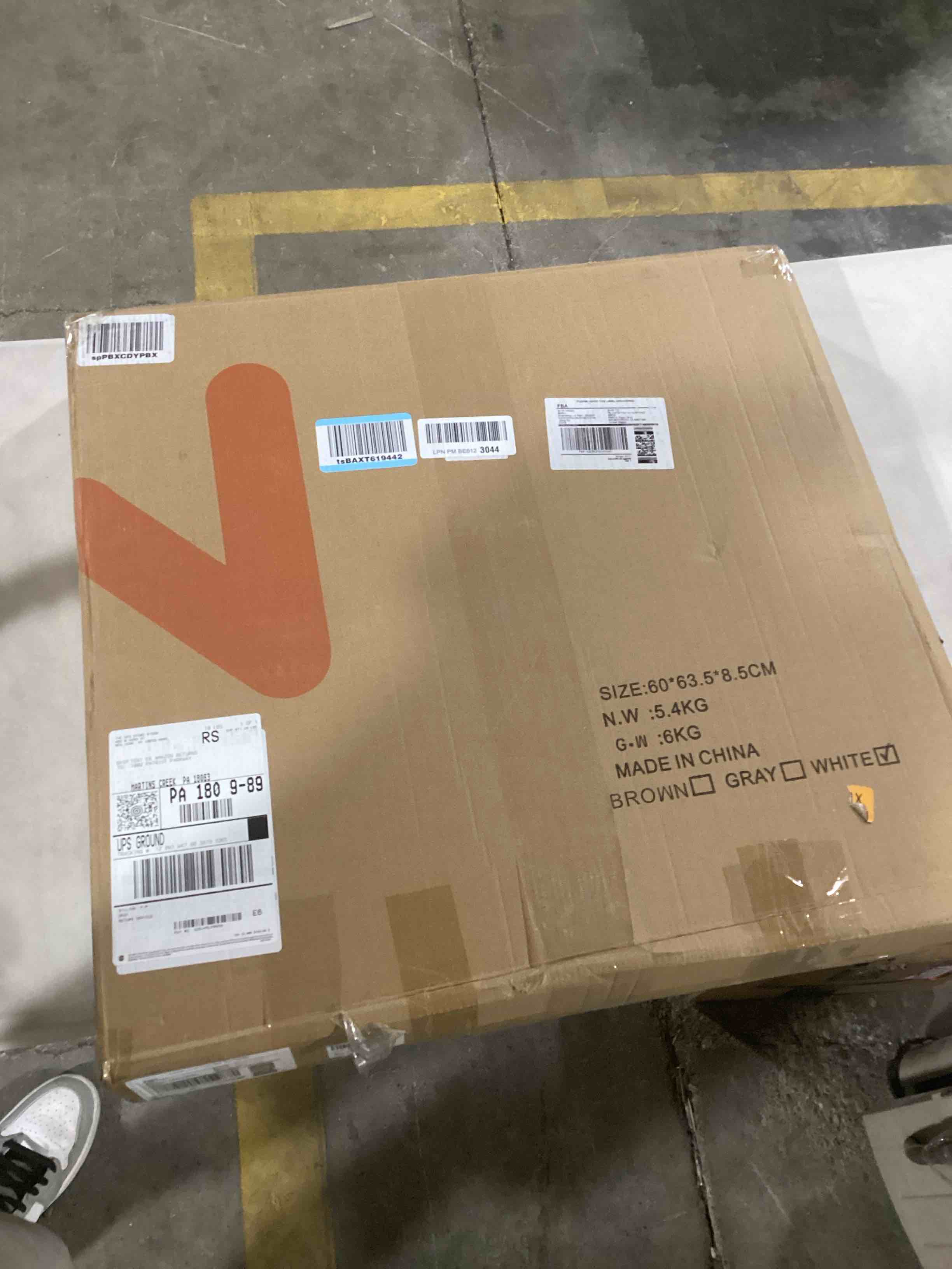 https://s3.amazonaws.com/lotting-images-prod/bidfta/TEA0460719_1730388900521.jpeg