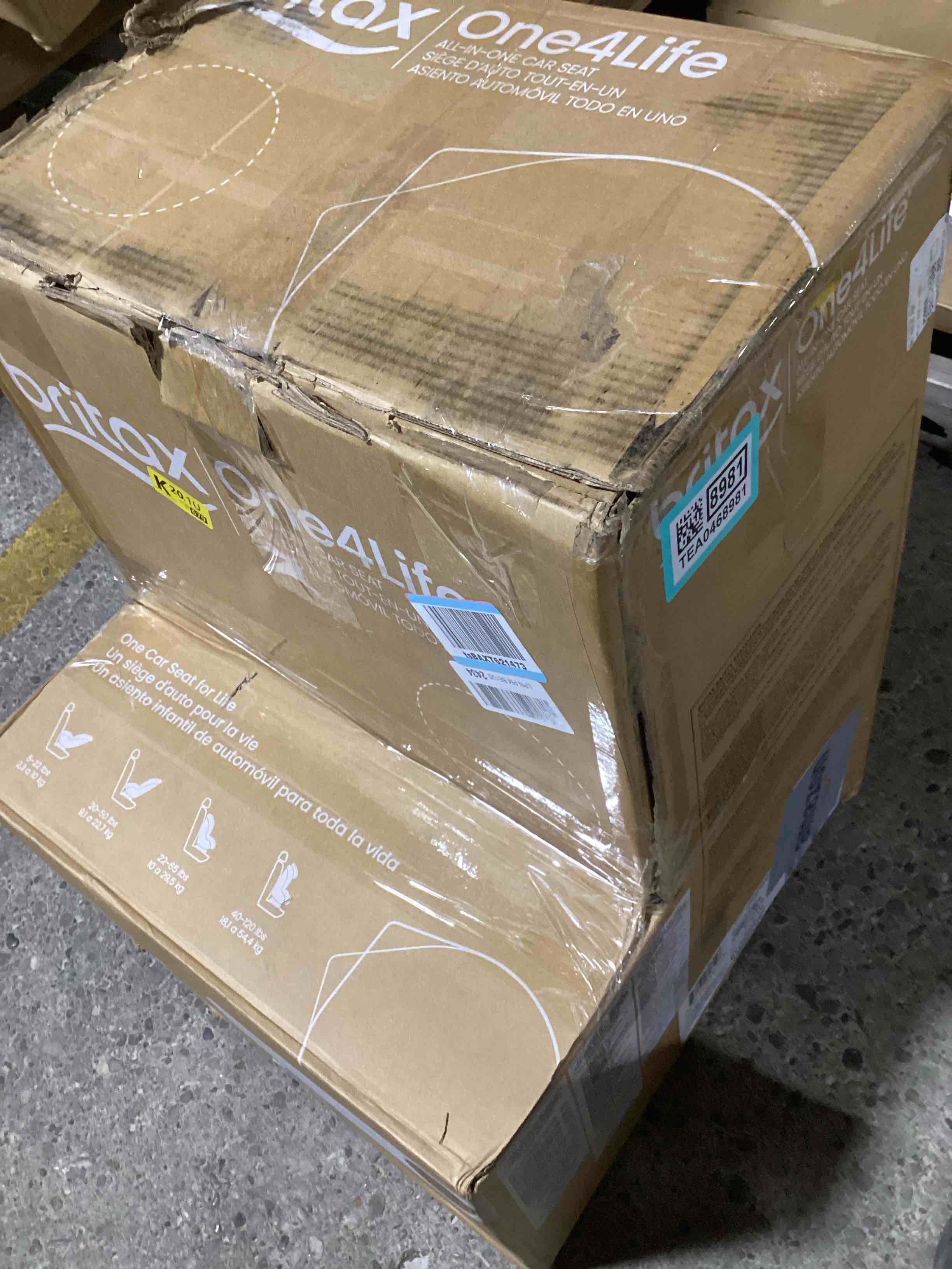 https://s3.amazonaws.com/lotting-images-prod/bidfta/TEA0468981_1730900650240.jpeg