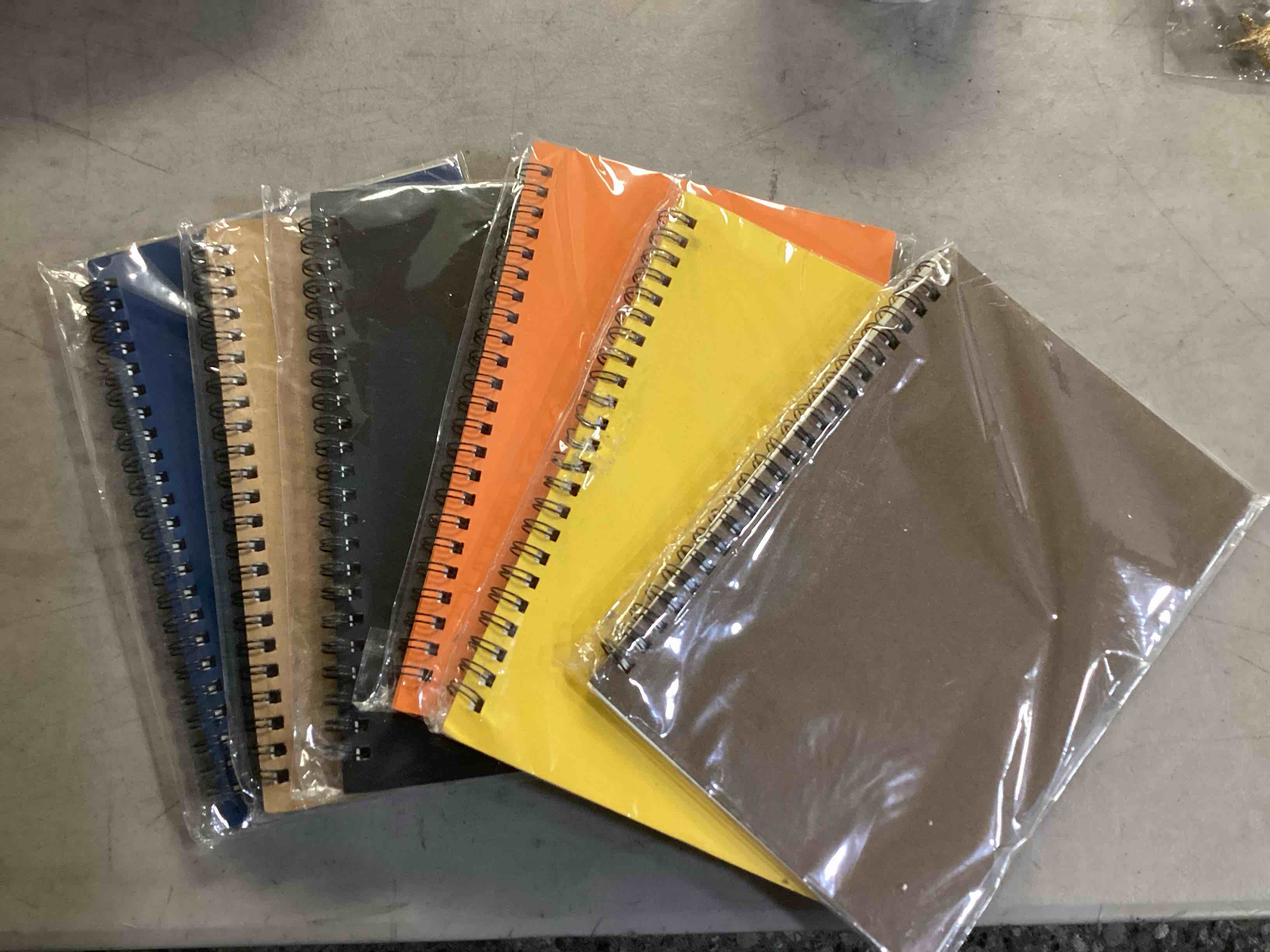 Assortment of Journals/Notebooks