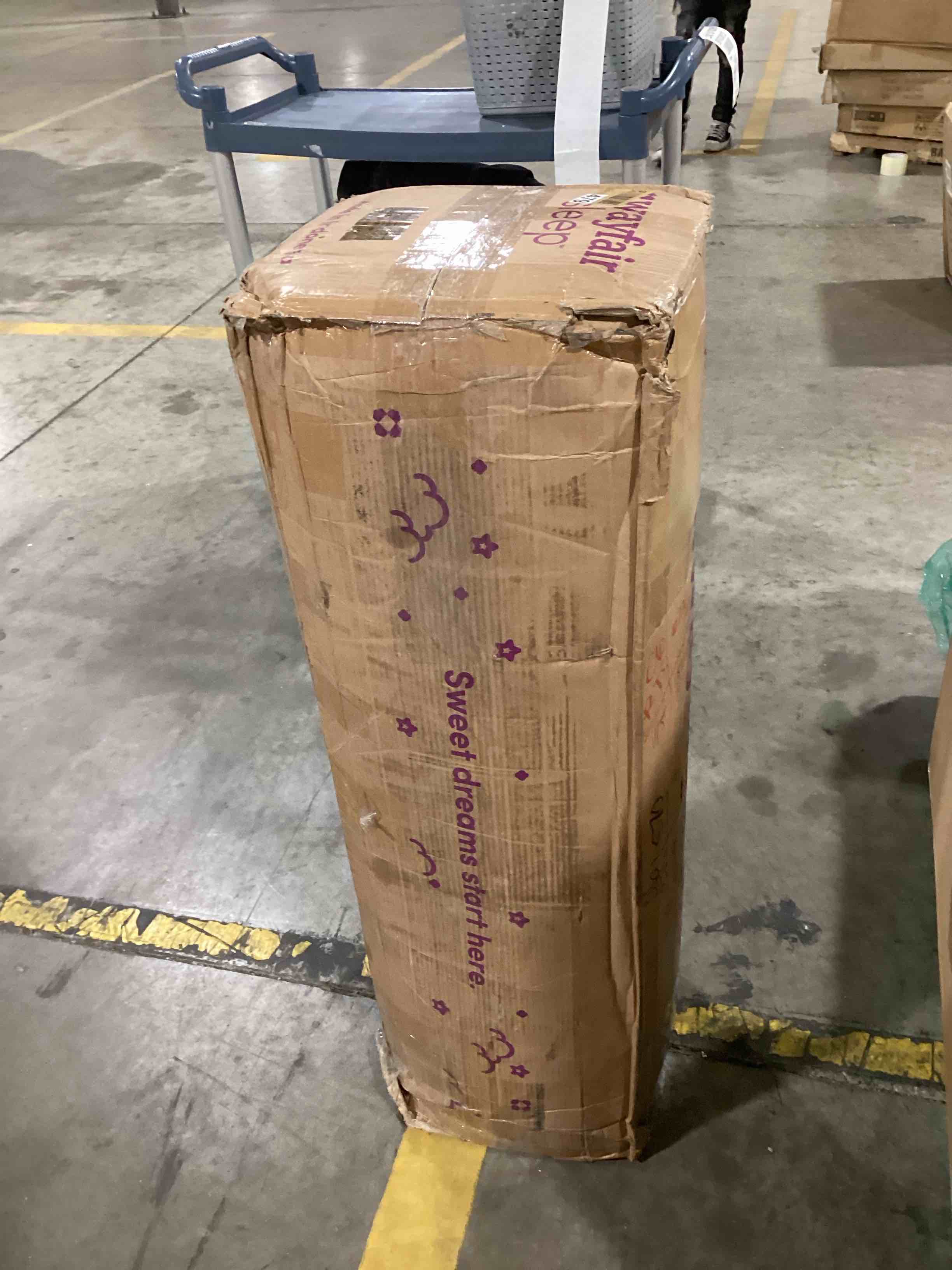 https://s3.amazonaws.com/lotting-images-prod/bidfta/TEA0479073_1732195578271.jpeg