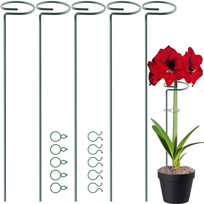 HiGift 7  Pack 24 Inch Plant Support Stakes, Single Stem Flower Support Stakes and Rings for The Garden, Metal Garden Stakes for Tall Plant Vegetables Amaryllis Orchid Lily Sunflower Rose Narcissus