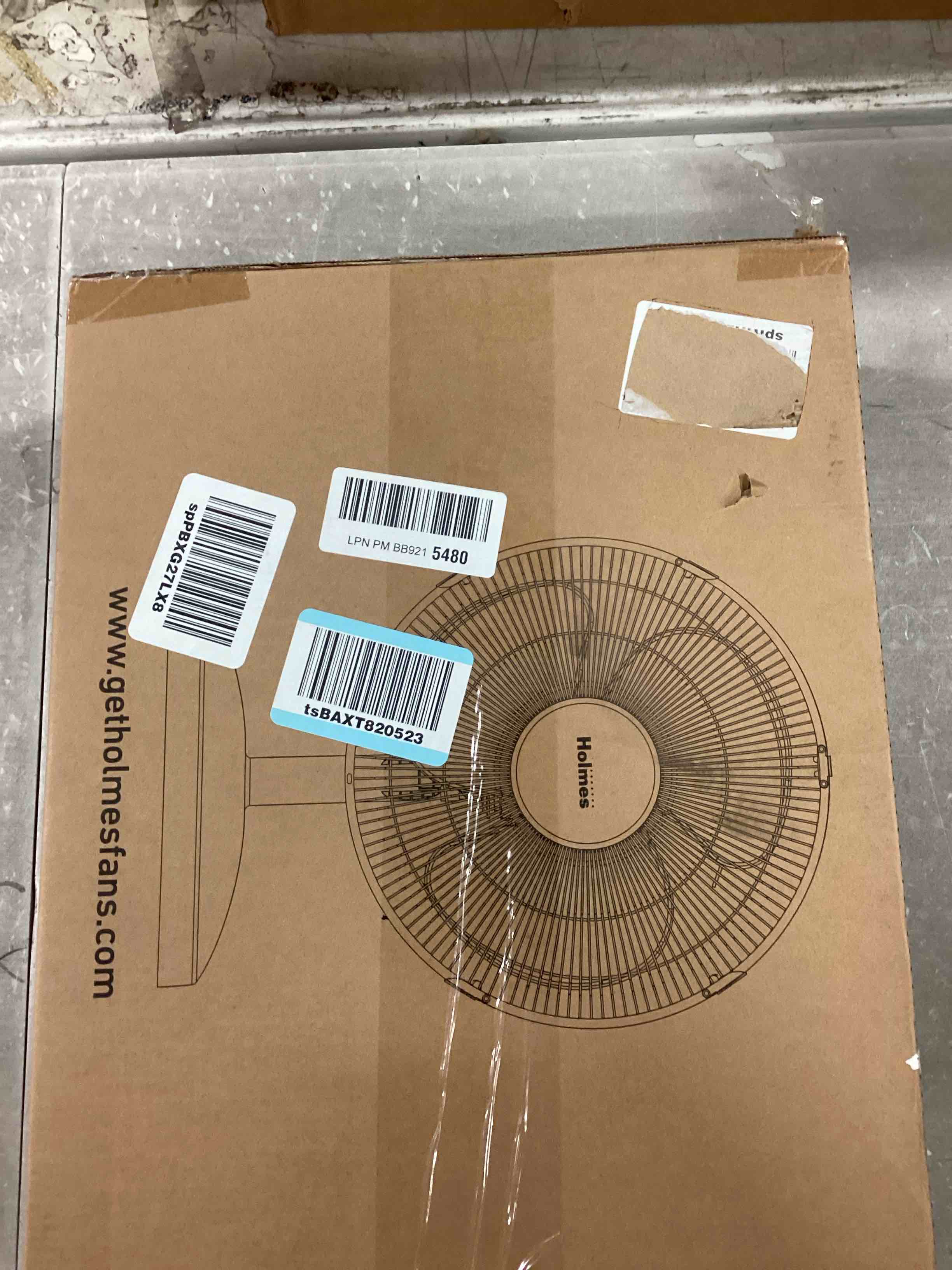 https://s3.amazonaws.com/lotting-images-prod/bidfta/TEA0501071_1729877206516.jpeg
