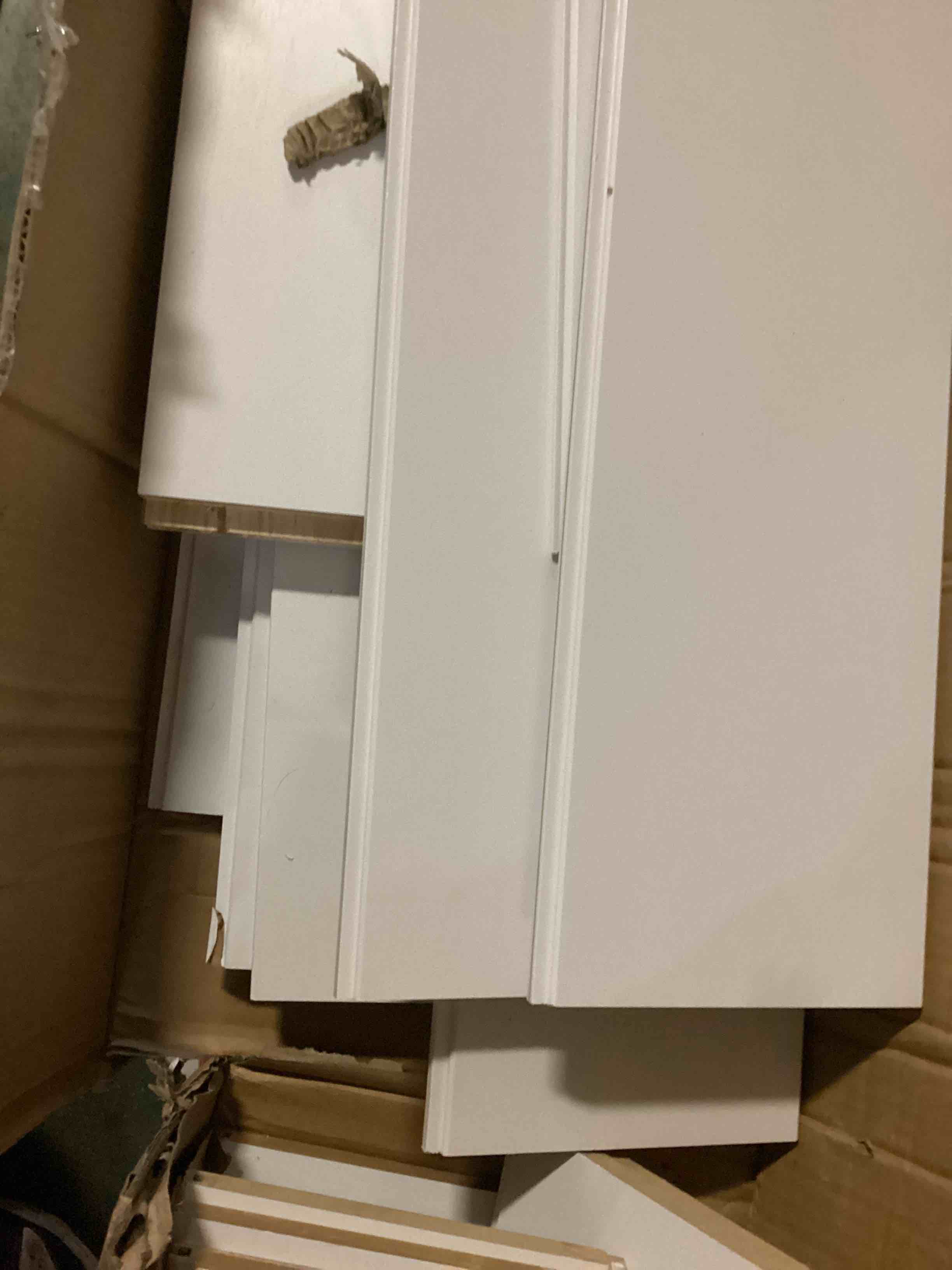 https://s3.amazonaws.com/lotting-images-prod/bidfta/TEA0524271_1732578114234.jpeg