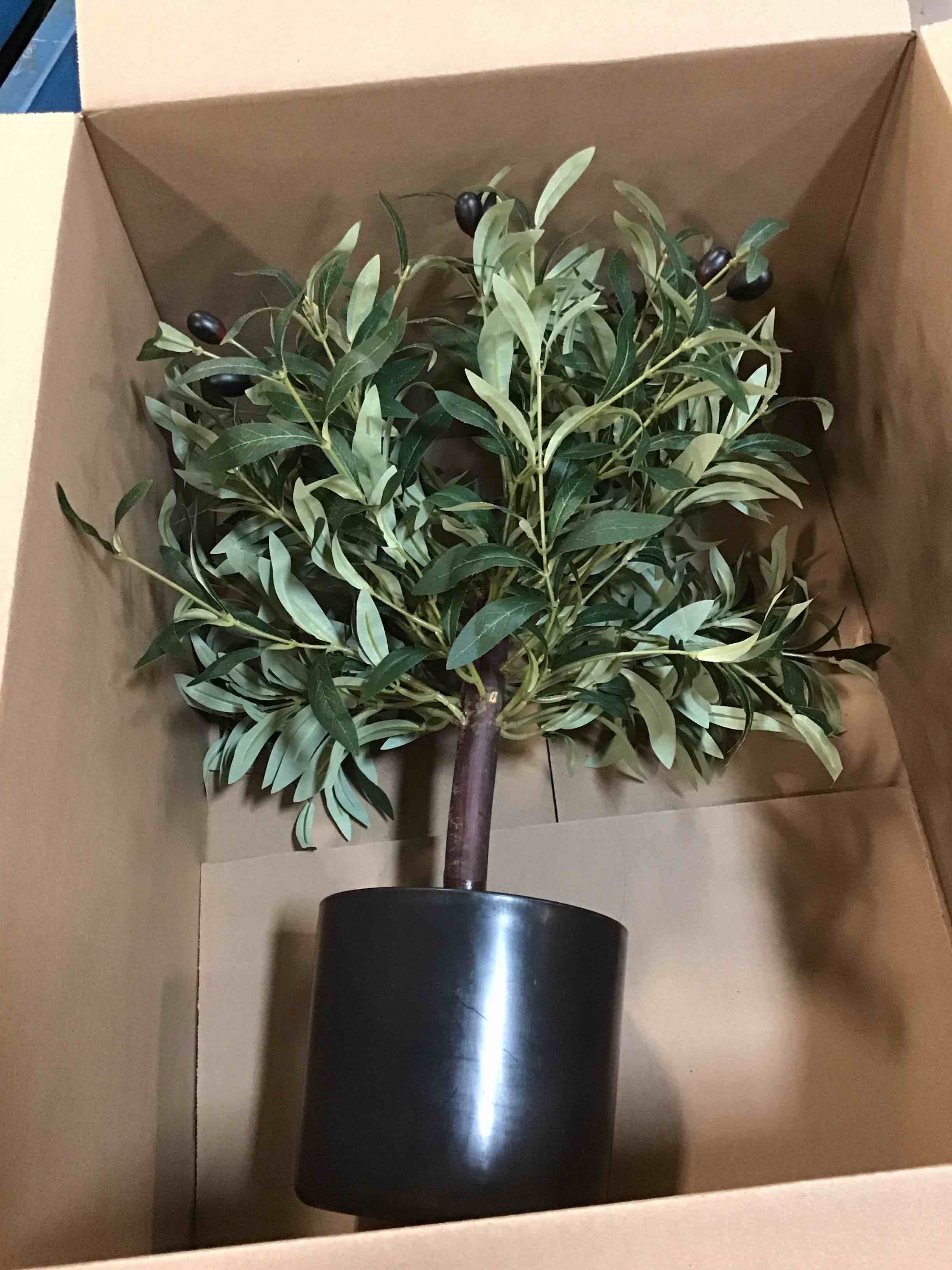https://s3.amazonaws.com/lotting-images-prod/bidfta/TEA0524688_1732157965429.jpeg