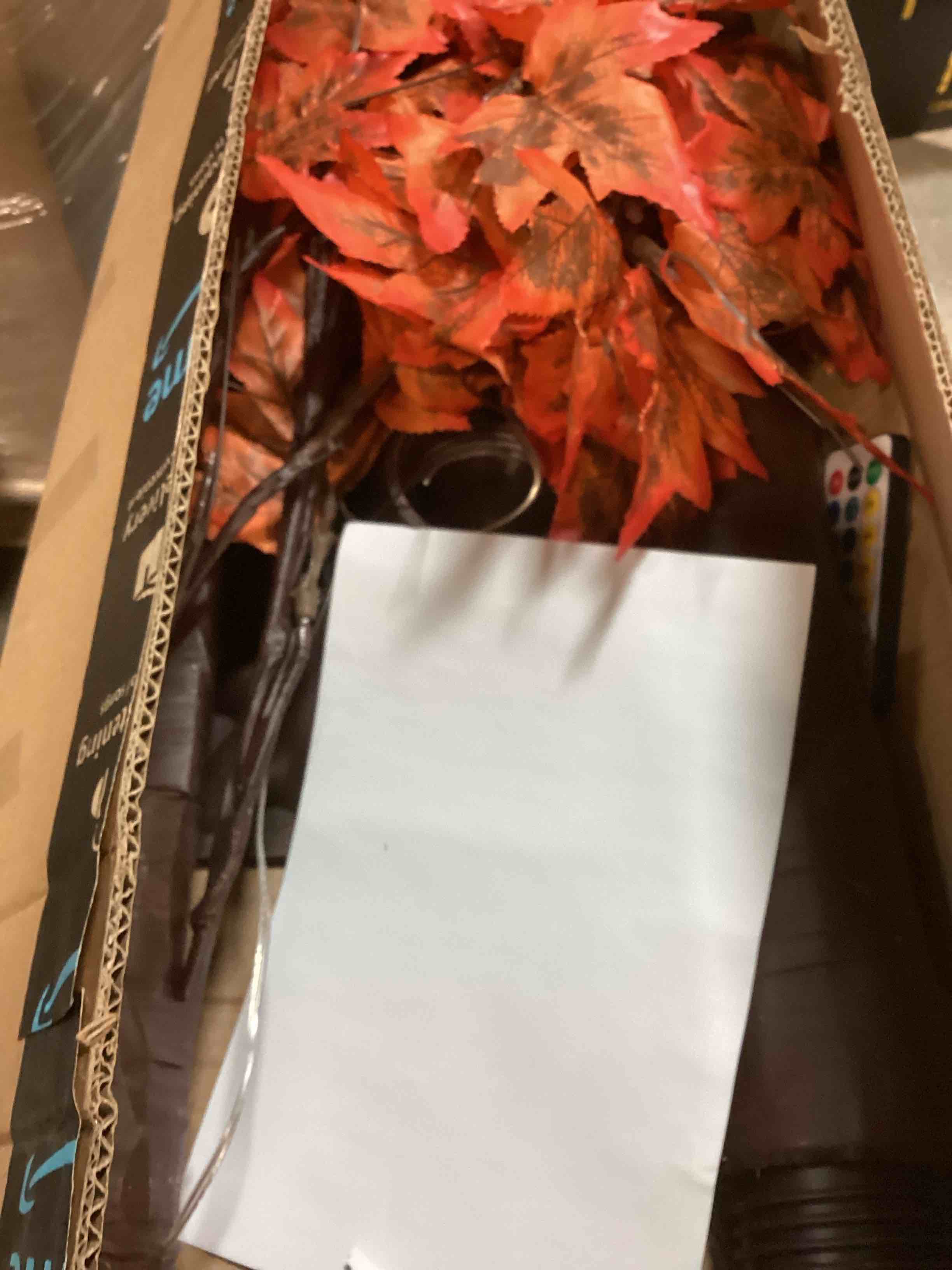 https://s3.amazonaws.com/lotting-images-prod/bidfta/TEA0541907_1730200322862.jpeg