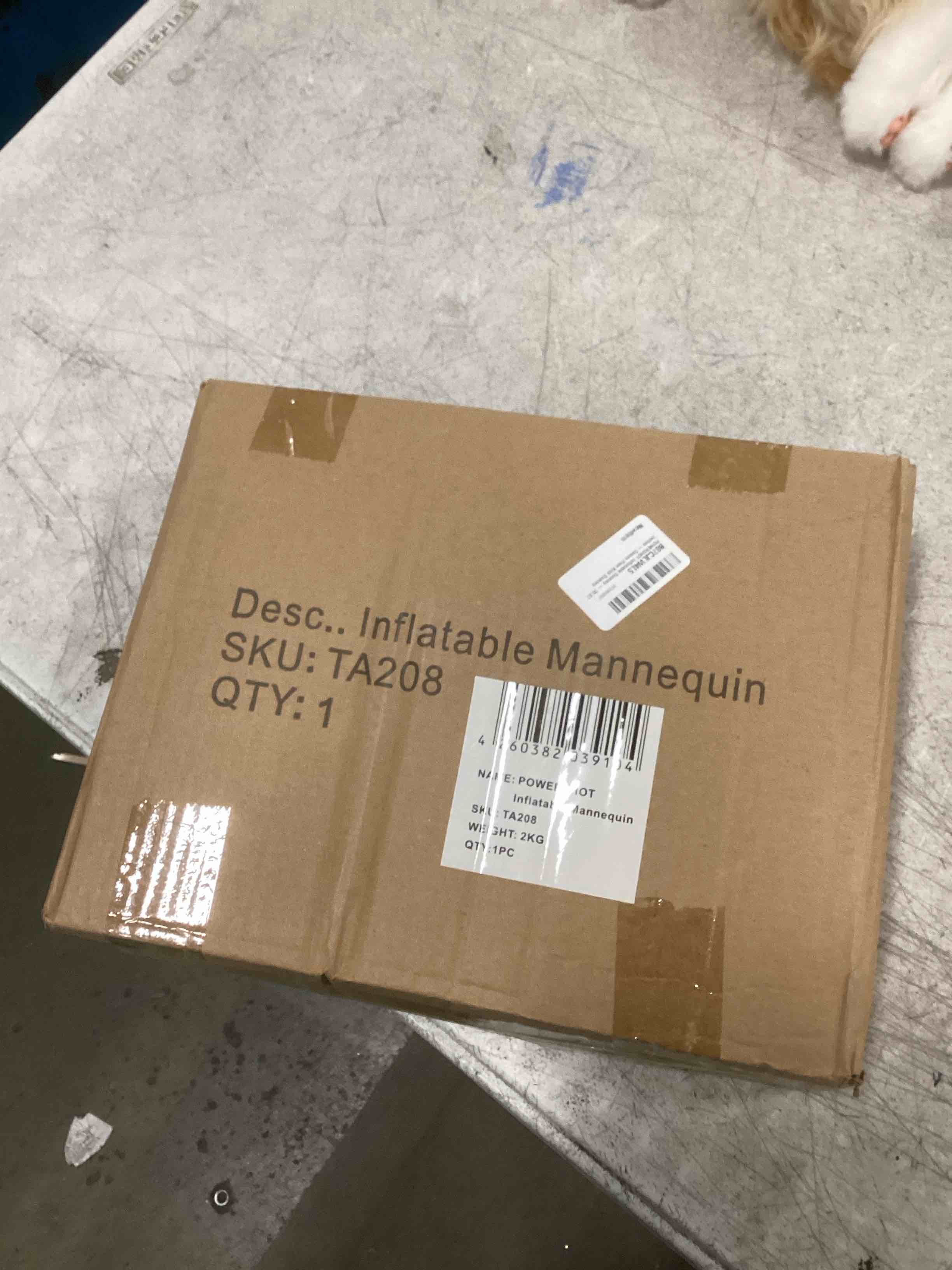 https://s3.amazonaws.com/lotting-images-prod/bidfta/TEA0542257_1732308818002.jpeg